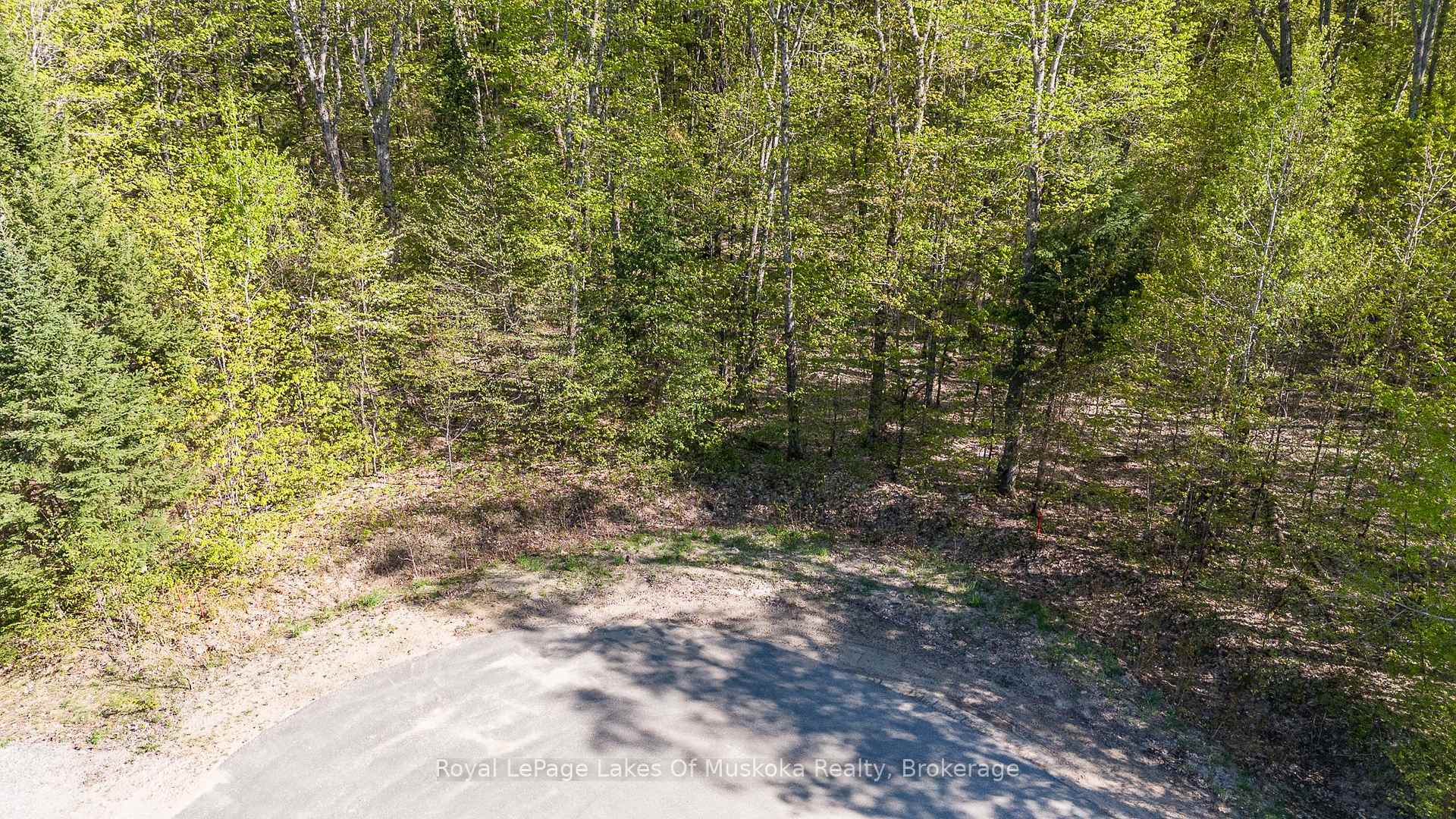 Front of Lot 2 Riverside Drive