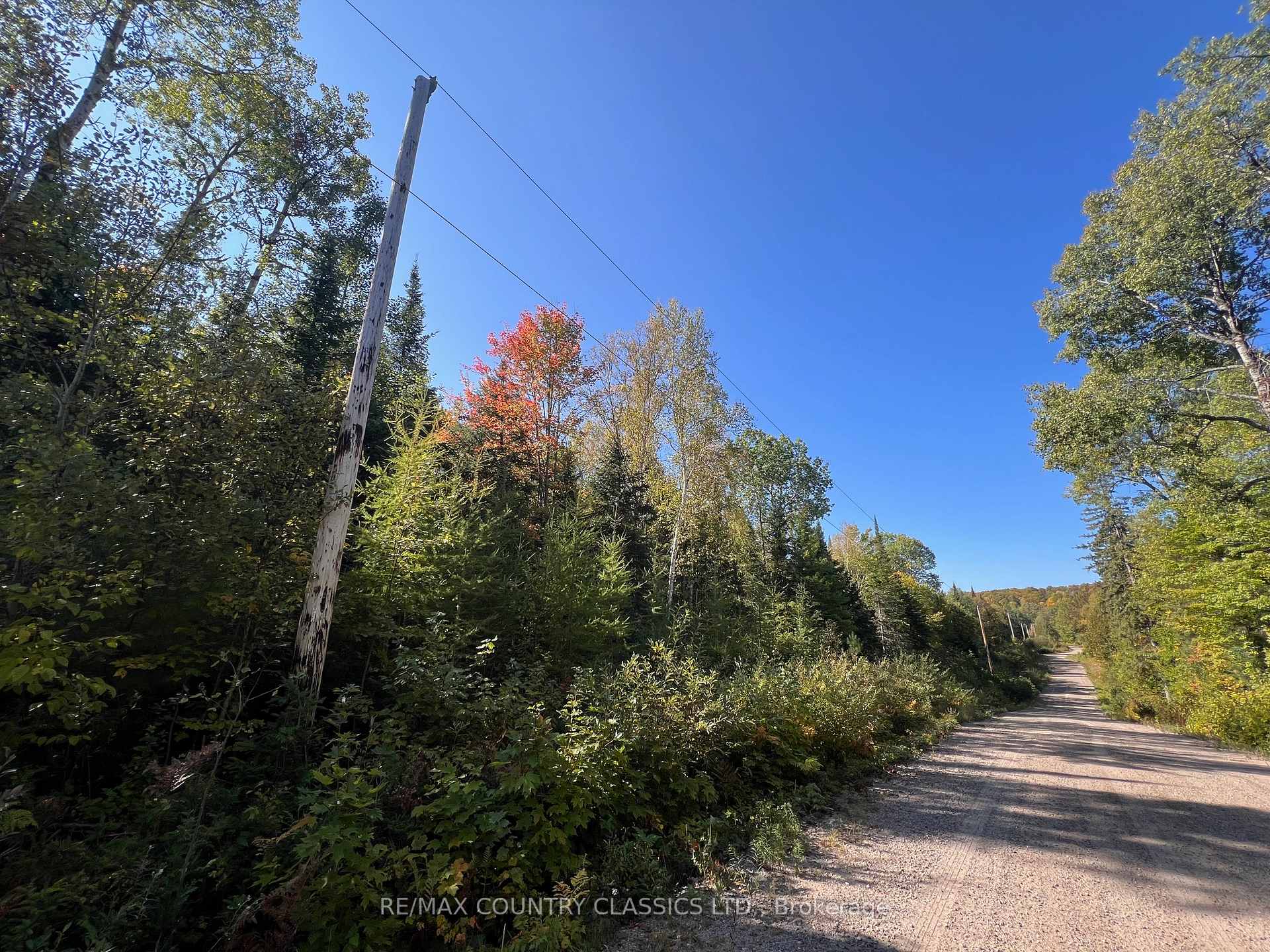 Photo 4 of Davis Road, Hastings Highlands, Wicklow Ward — HOMEH