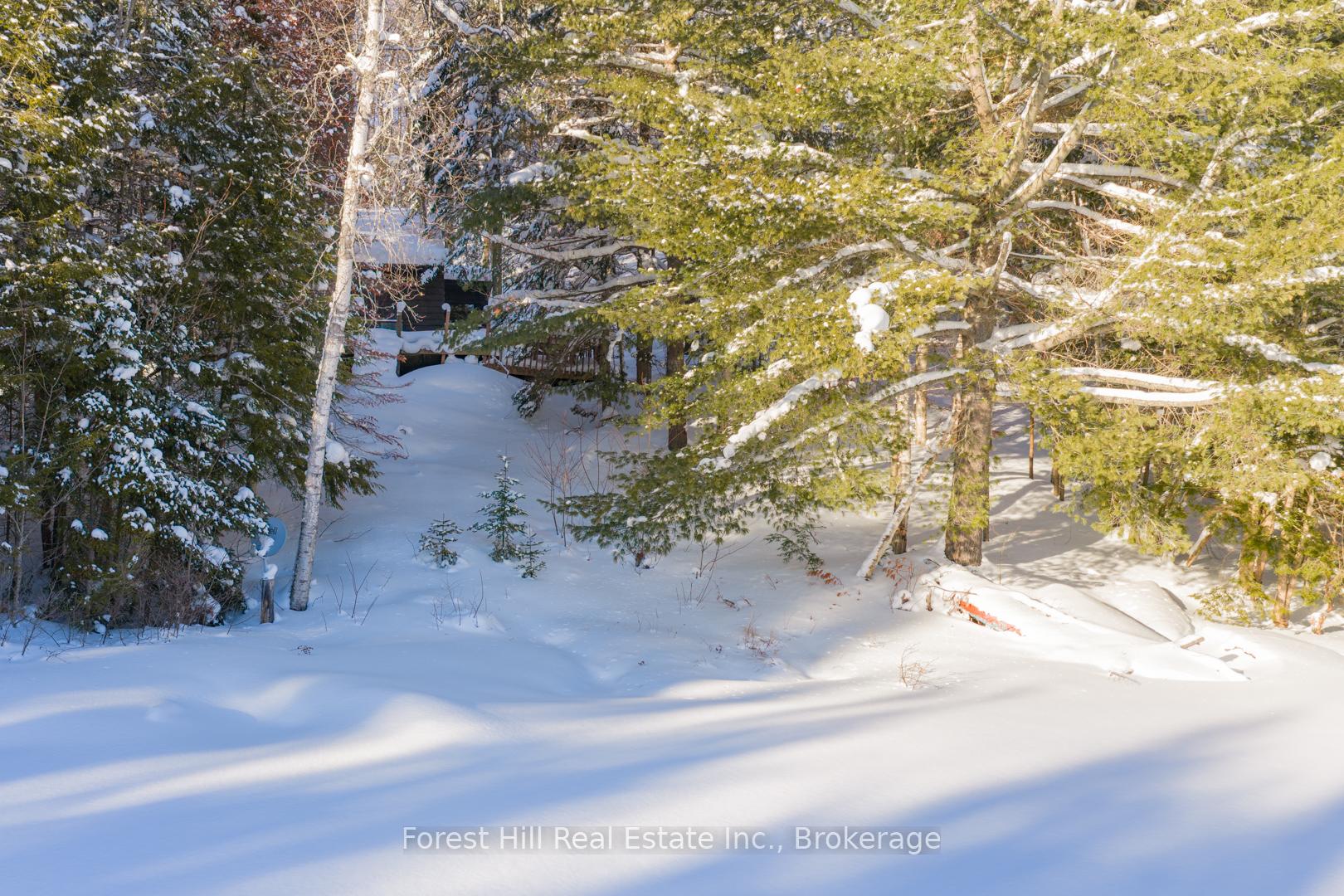 Photo 3 of 1107 Crane Lake Road, Algonquin Highlands, Sherborne — HOMEH