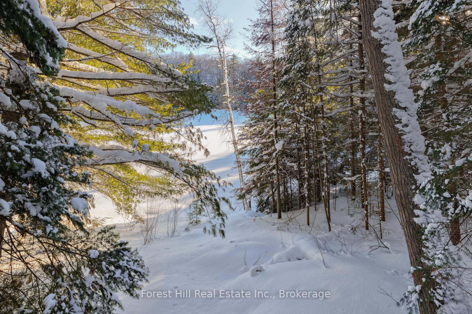 Photo 4 of 1107 Crane Lake Road, Algonquin Highlands, Sherborne — HOMEH
