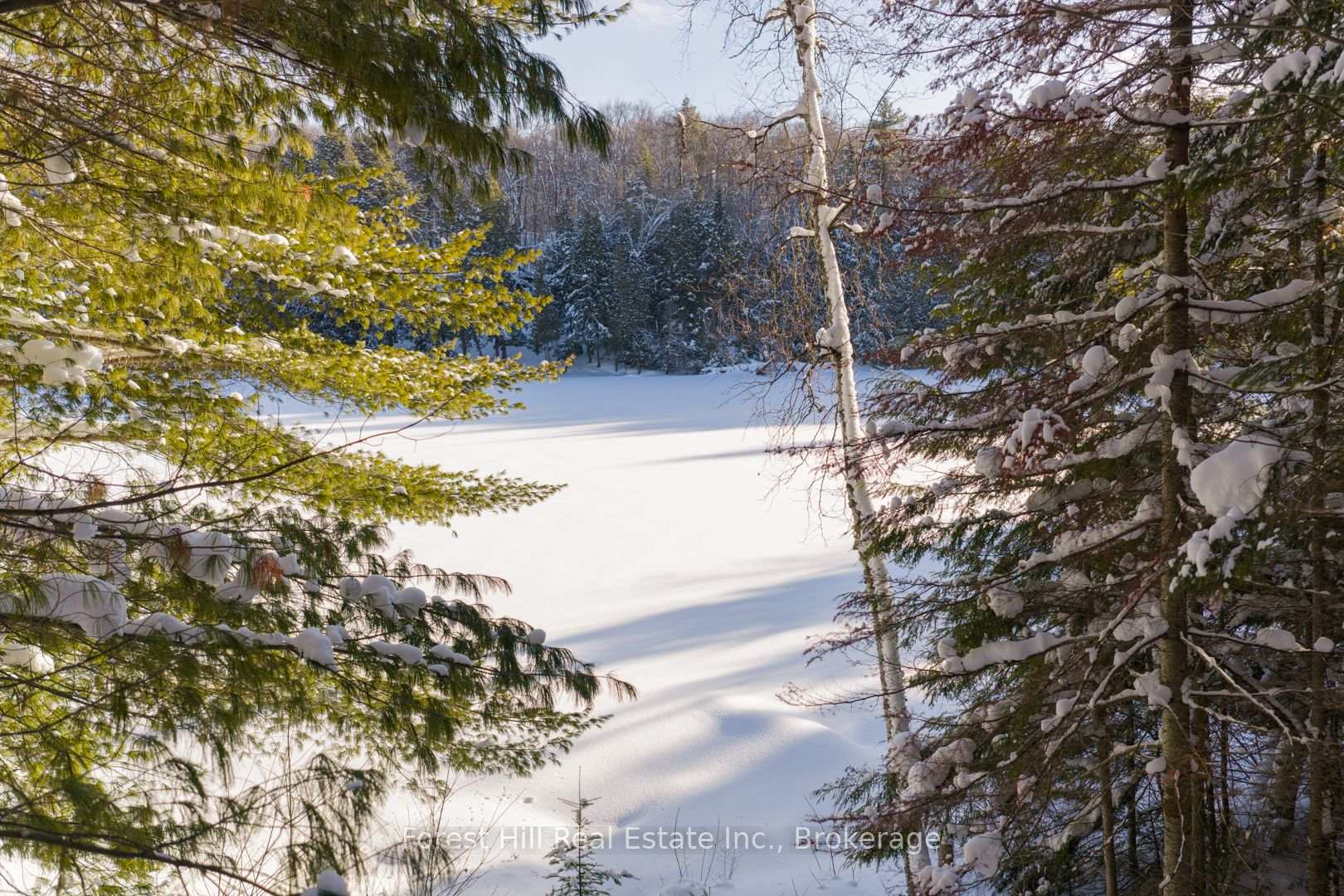 Photo 5 of 1107 Crane Lake Road, Algonquin Highlands, Sherborne — HOMEH