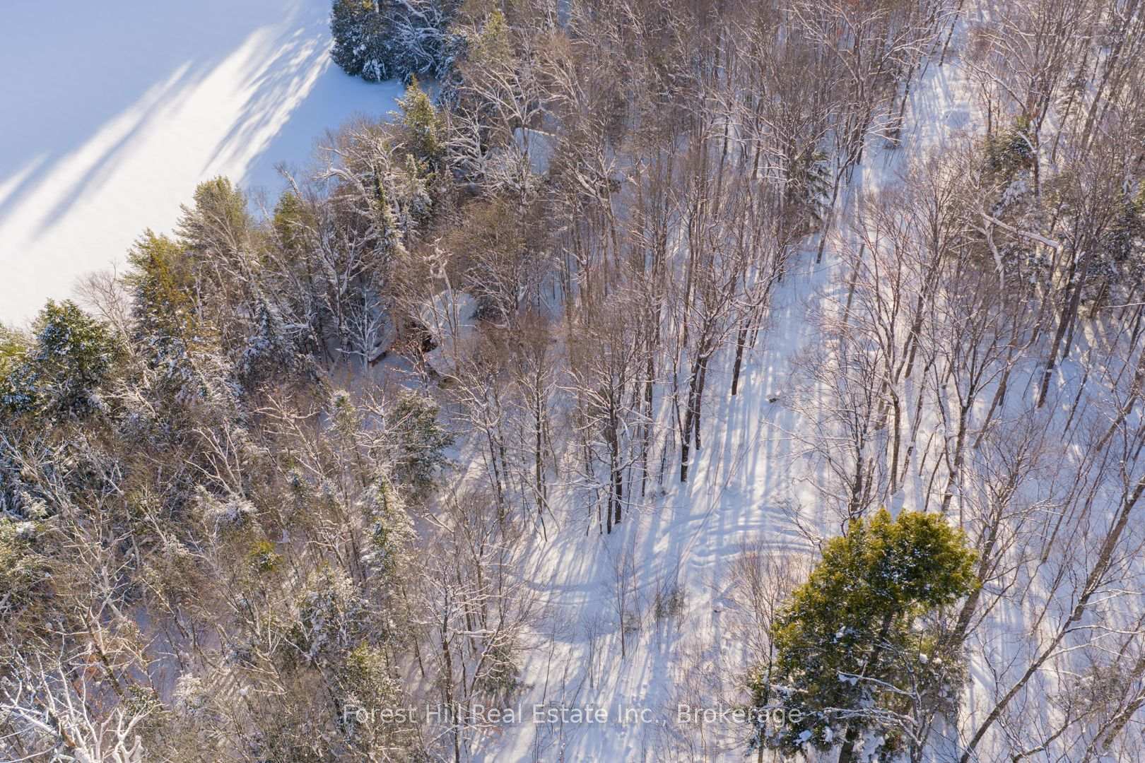 Photo 14 of 1107 Crane Lake Road, Algonquin Highlands, Sherborne — HOMEH