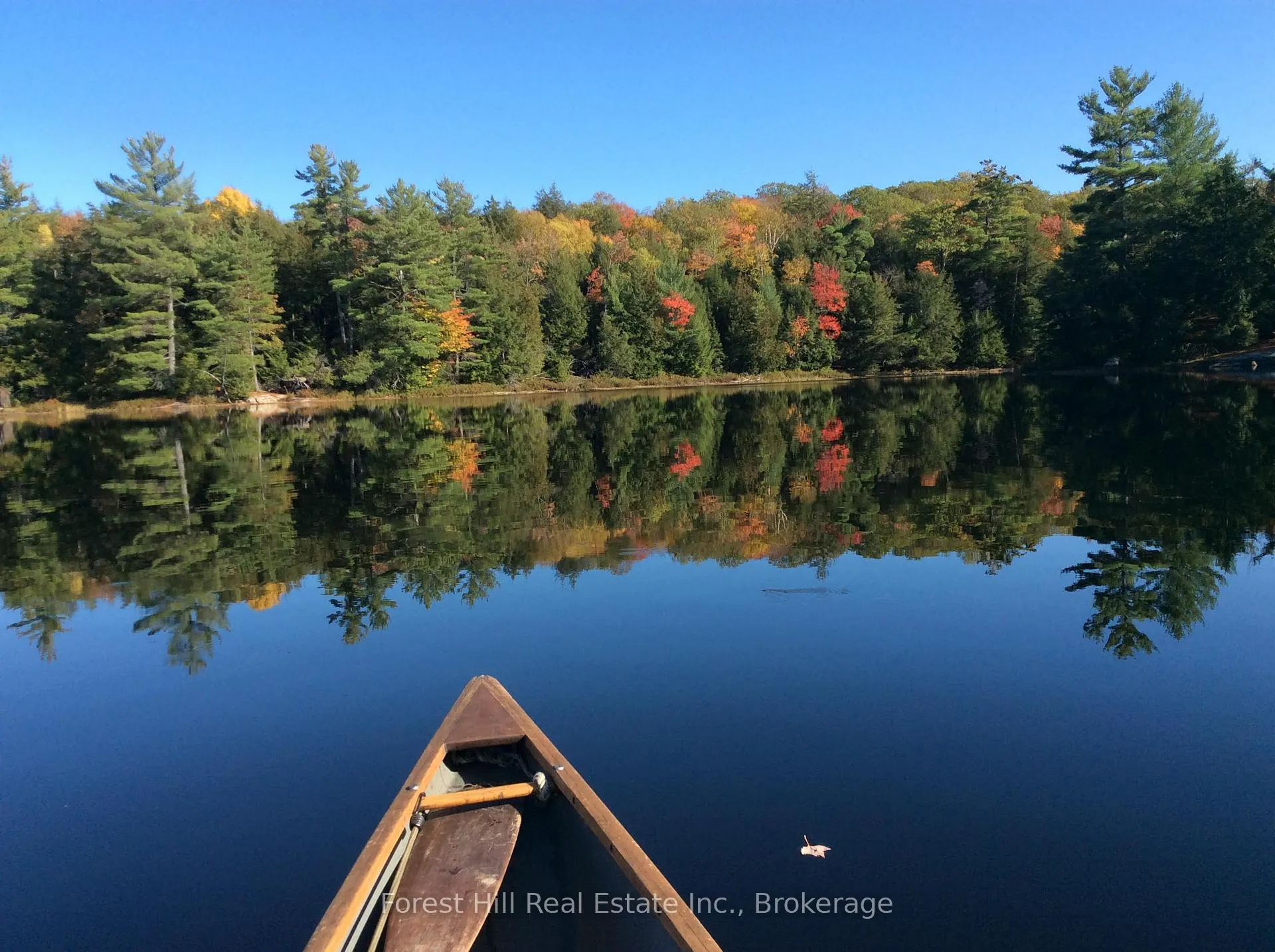 Photo 16 of 1107 Crane Lake Road, Algonquin Highlands, Sherborne — HOMEH