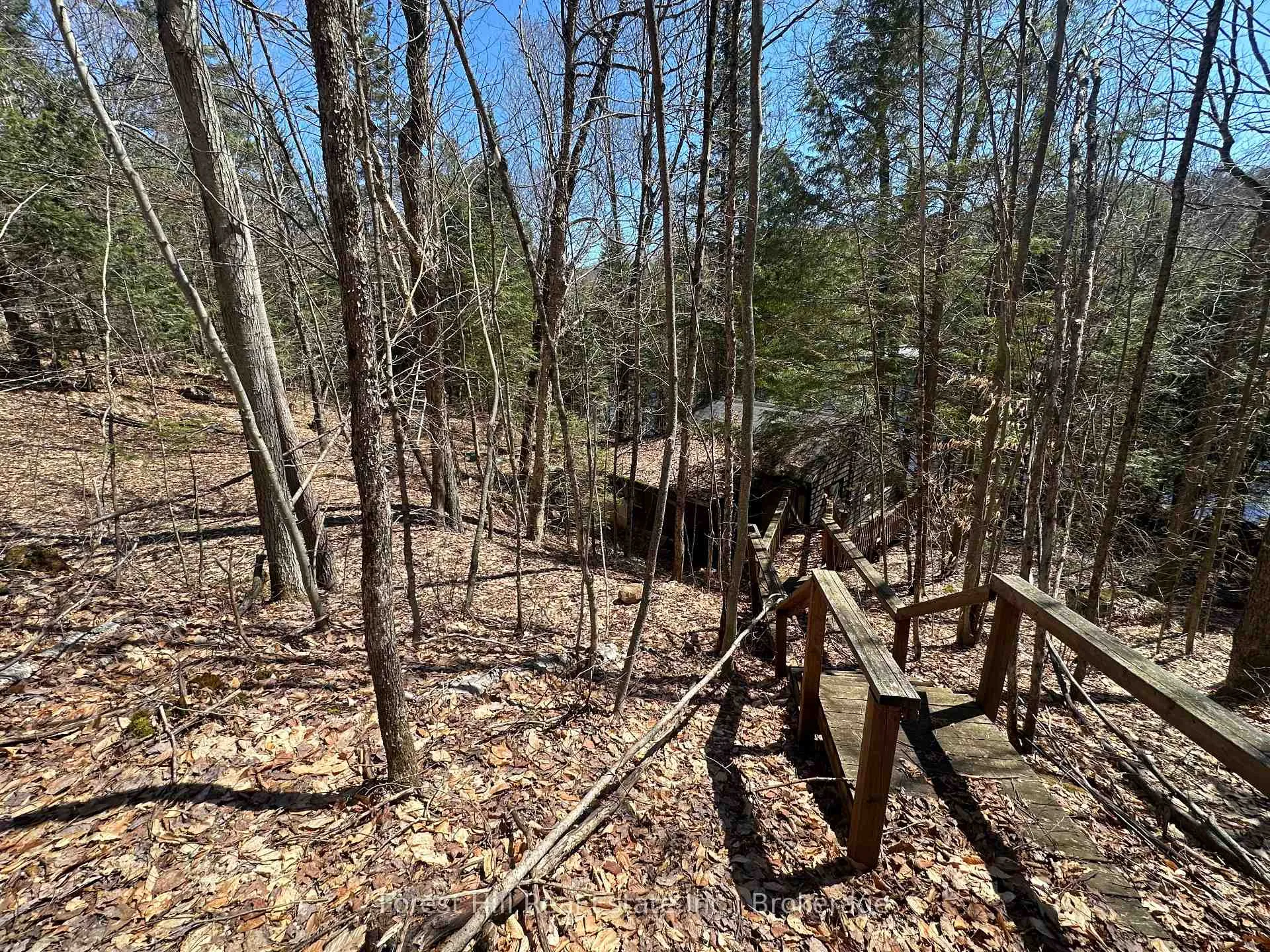 Photo 23 of 1107 Crane Lake Road, Algonquin Highlands, Sherborne — HOMEH
