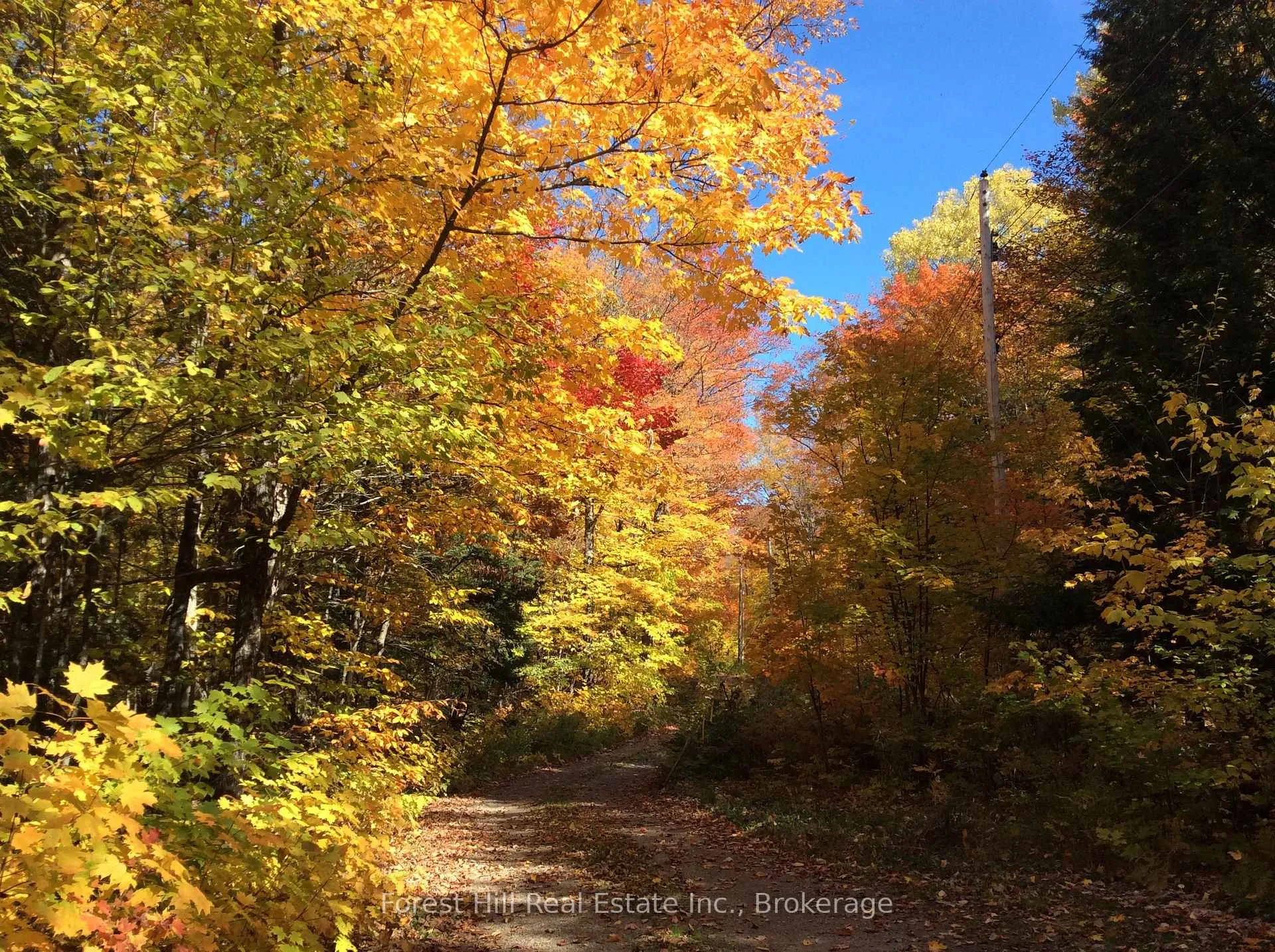 Photo 25 of 1107 Crane Lake Road, Algonquin Highlands, Sherborne — HOMEH