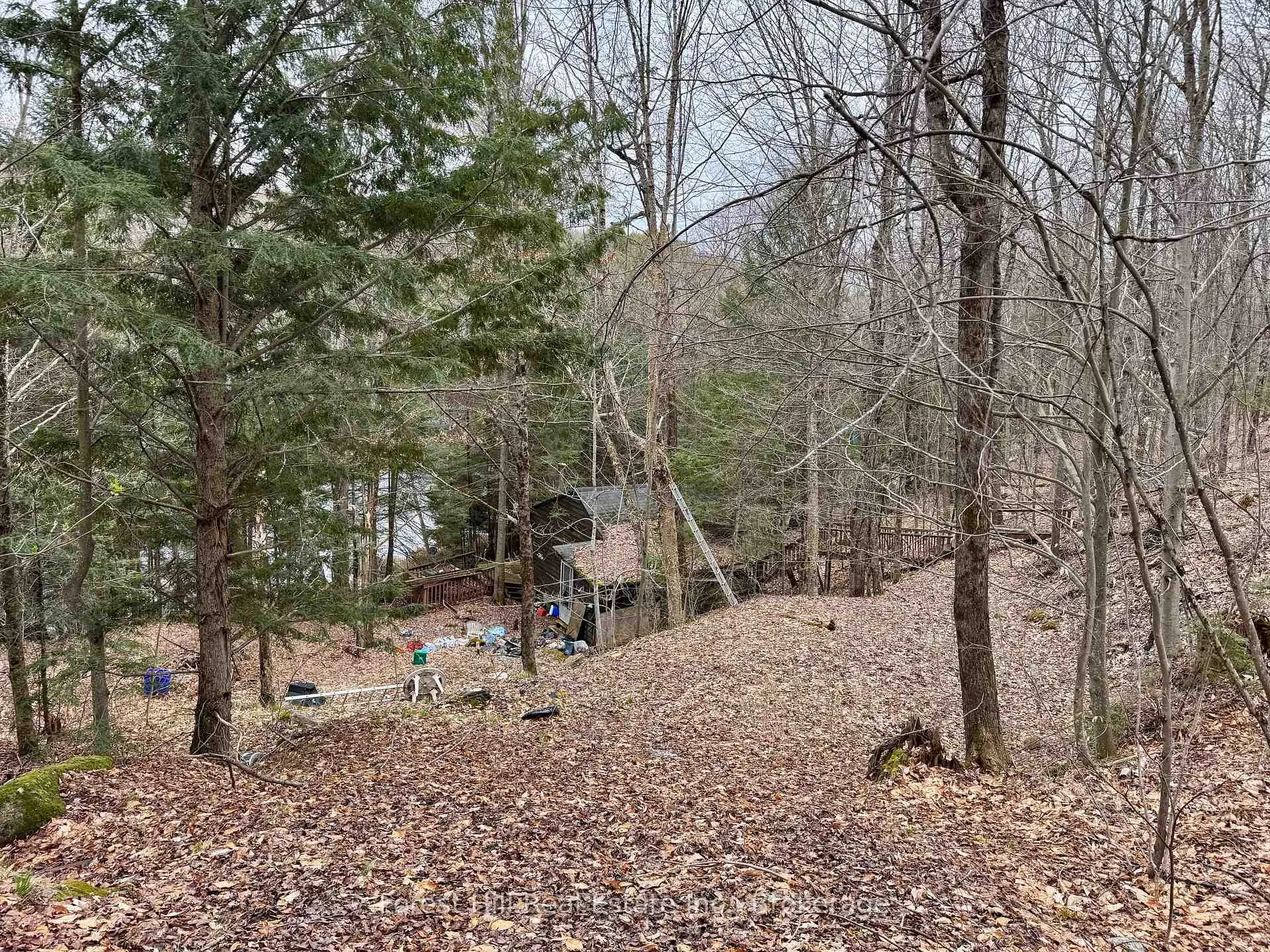 Photo 26 of 1107 Crane Lake Road, Algonquin Highlands, Sherborne — HOMEH