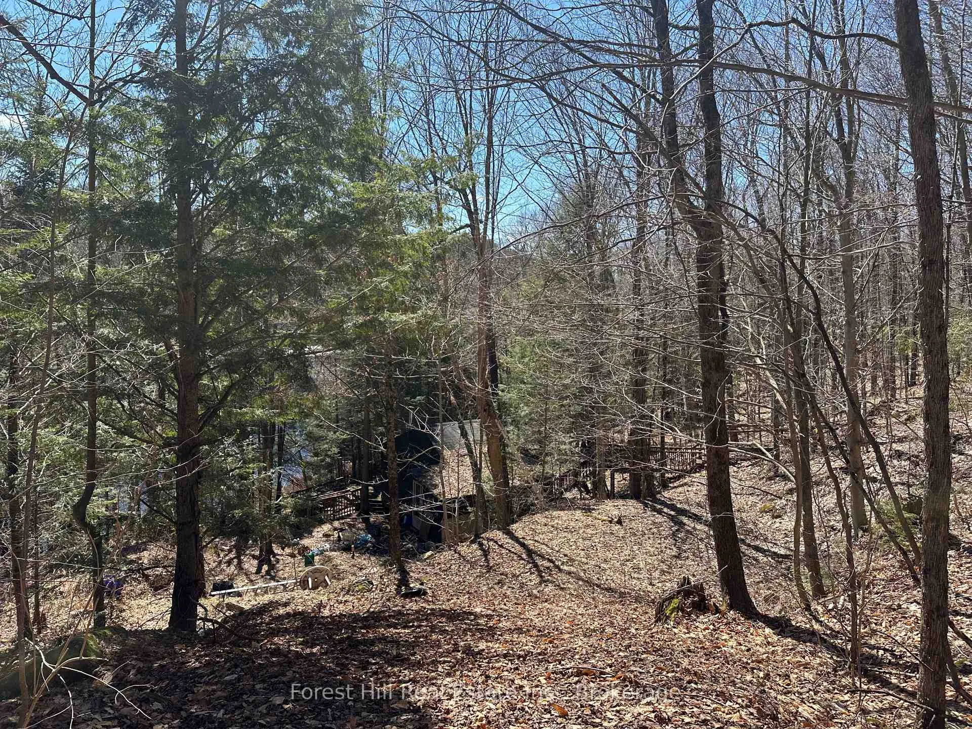 Photo 28 of 1107 Crane Lake Road, Algonquin Highlands, Sherborne — HOMEH