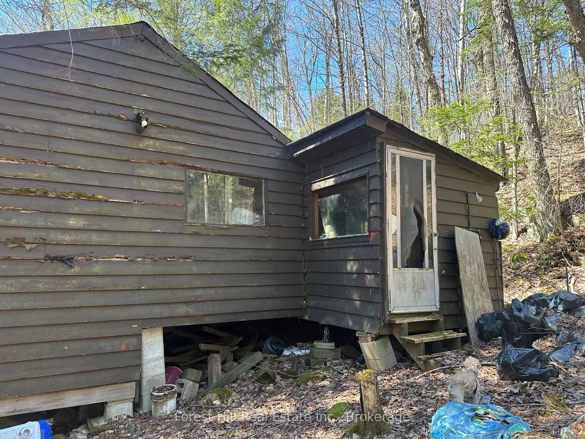 Photo 29 of 1107 Crane Lake Road, Algonquin Highlands, Sherborne — HOMEH