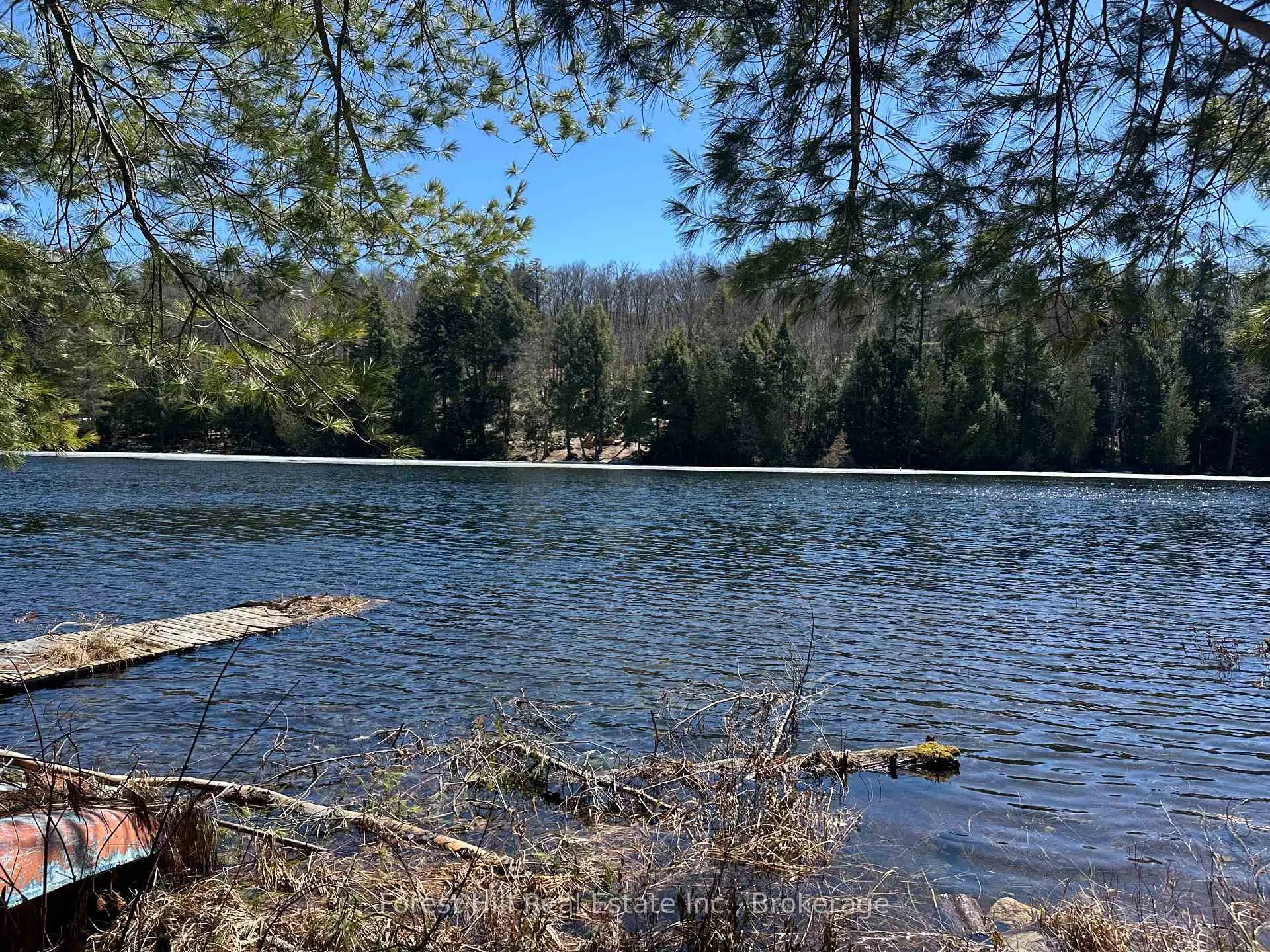 Photo 32 of 1107 Crane Lake Road, Algonquin Highlands, Sherborne — HOMEH