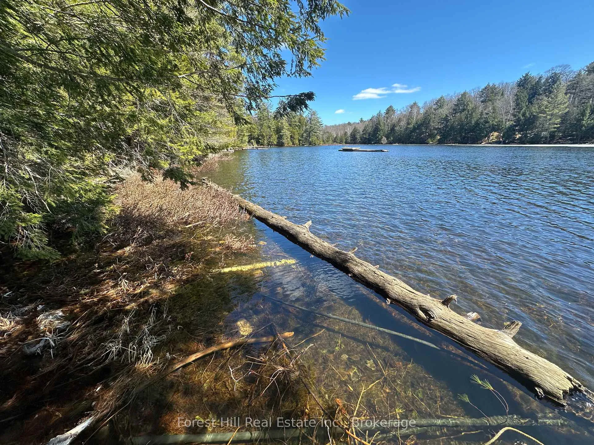 Photo 34 of 1107 Crane Lake Road, Algonquin Highlands, Sherborne — HOMEH