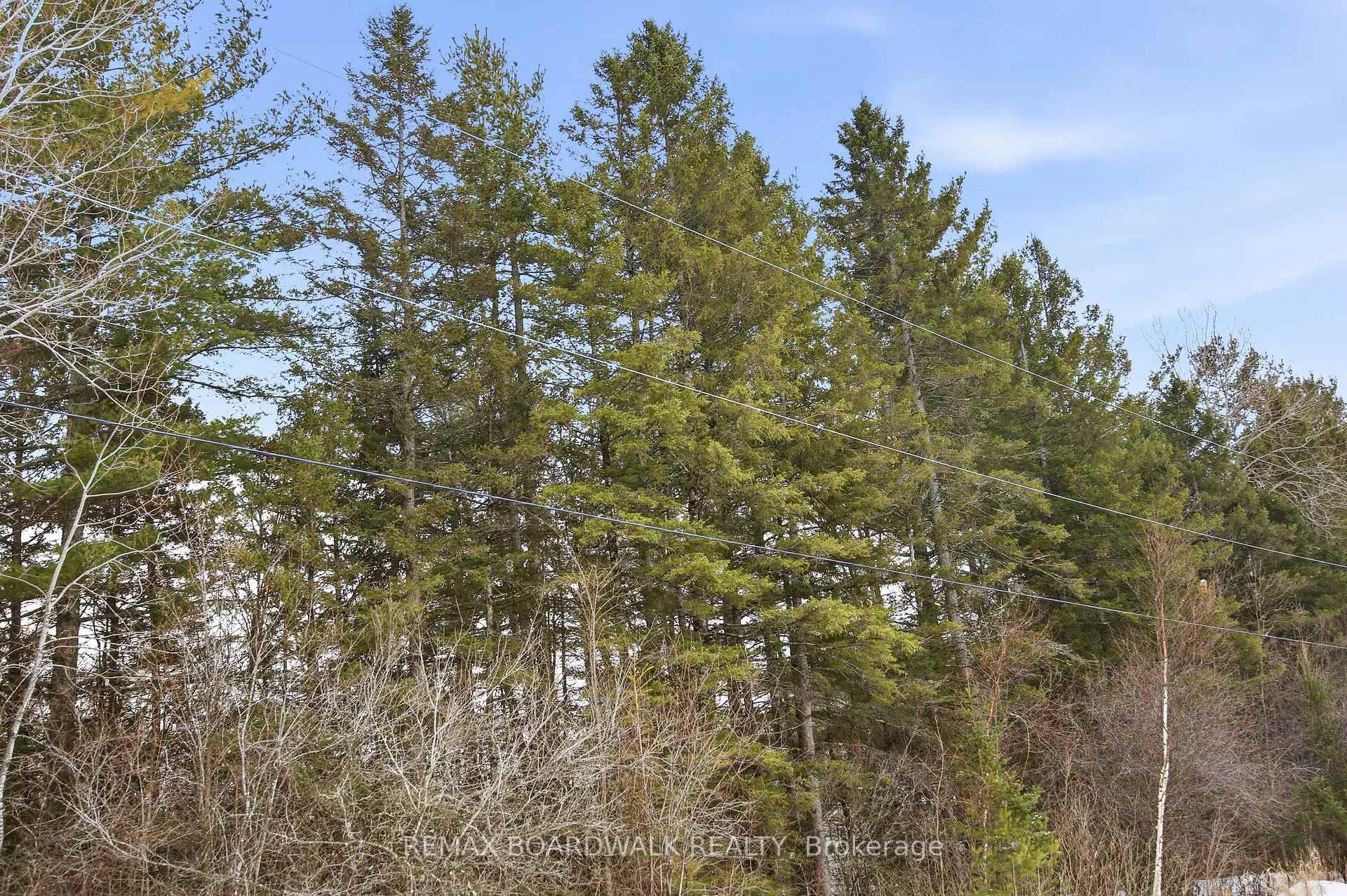 Photo 15 of 00 Drummond Conc. 5B Road, Drummond/North Elmsley, Drummond N Elmsley (Drummond) Twp — HOMEH