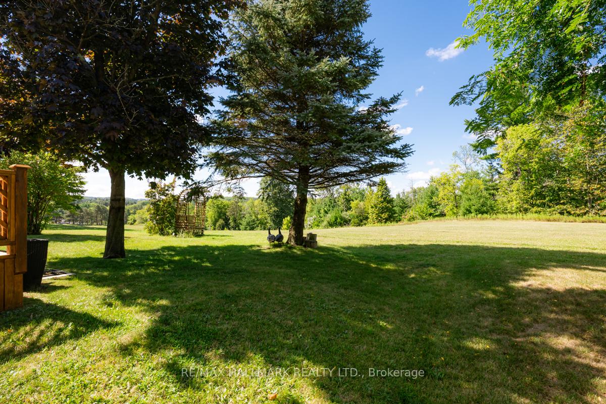 Photo 27 of 81 Tecumseth Pines Drive, New Tecumseth, Rural New Tecumseth — HOMEH