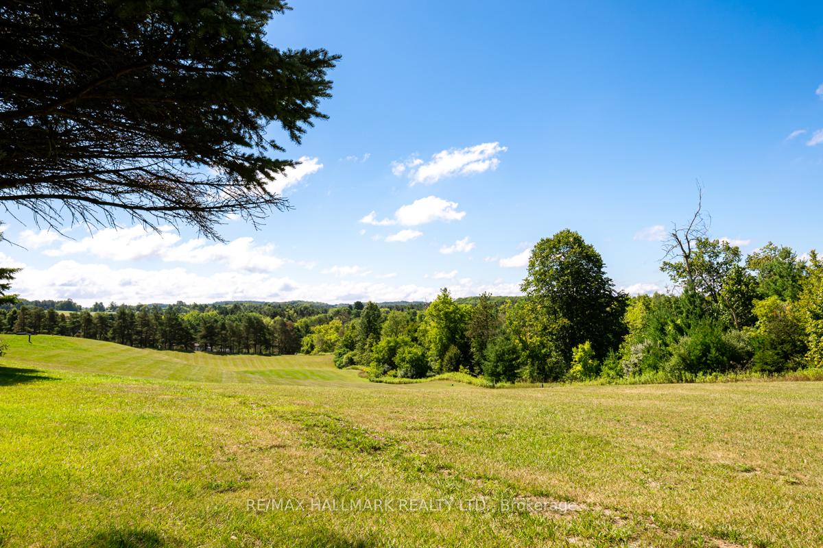 Photo 21 of 81 Tecumseth Pines Drive, New Tecumseth, Rural New Tecumseth — HOMEH