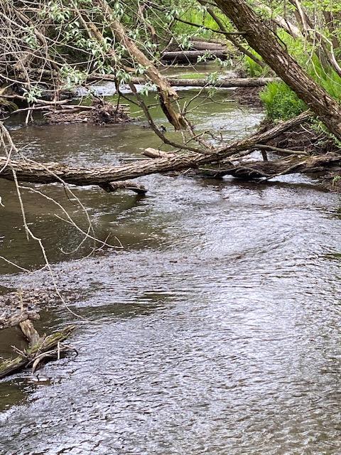 Photo 11 of 367 Stephens Mill Road, Clarington, Rural Clarington — HOMEH