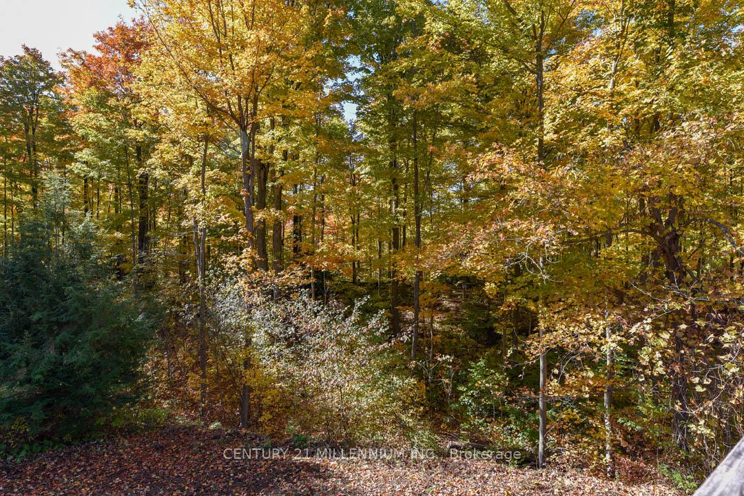 Photo 10 of 387192 20 Side Road, Mono, Rural Mono — HOMEH