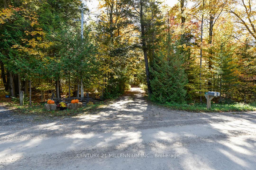 Photo 5 of 387192 20 Side Road, Mono, Rural Mono — HOMEH