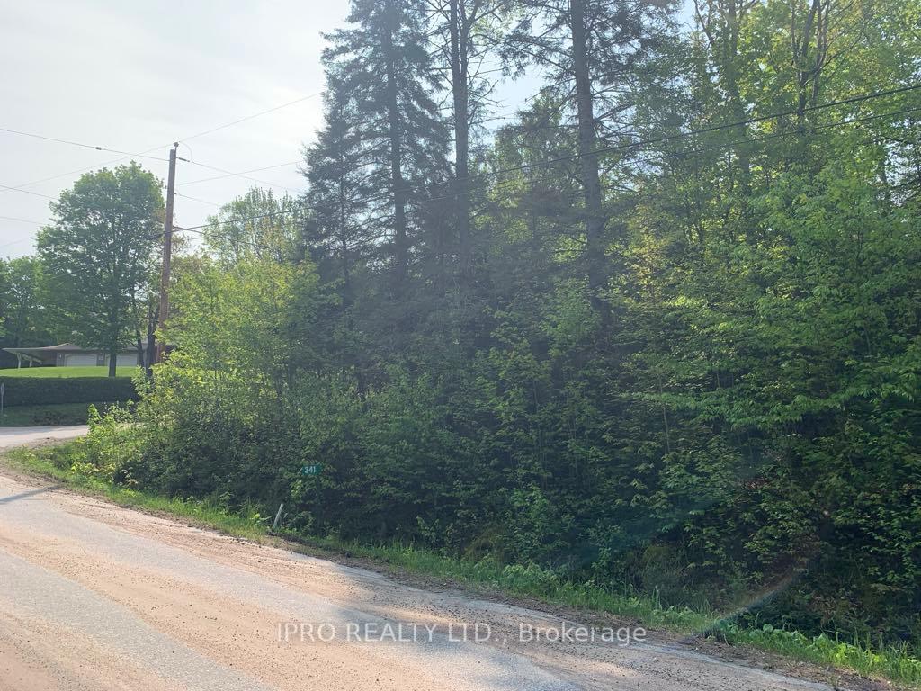 Photo 2 of 341 Main Street E, Powassan, Trout Creek — HOMEH
