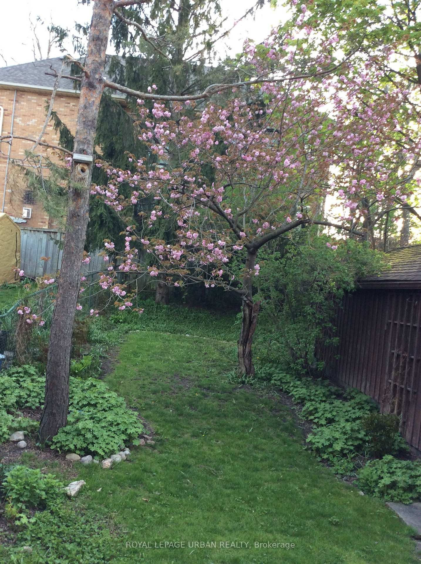 Photo 29 of 658 Oriole Parkway, Toronto, Yonge-Eglinton — HOMEH