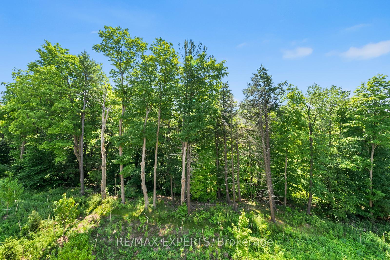 Photo 36 of 91 Archambault Way, Vaughan, Vellore Village — HOMEH