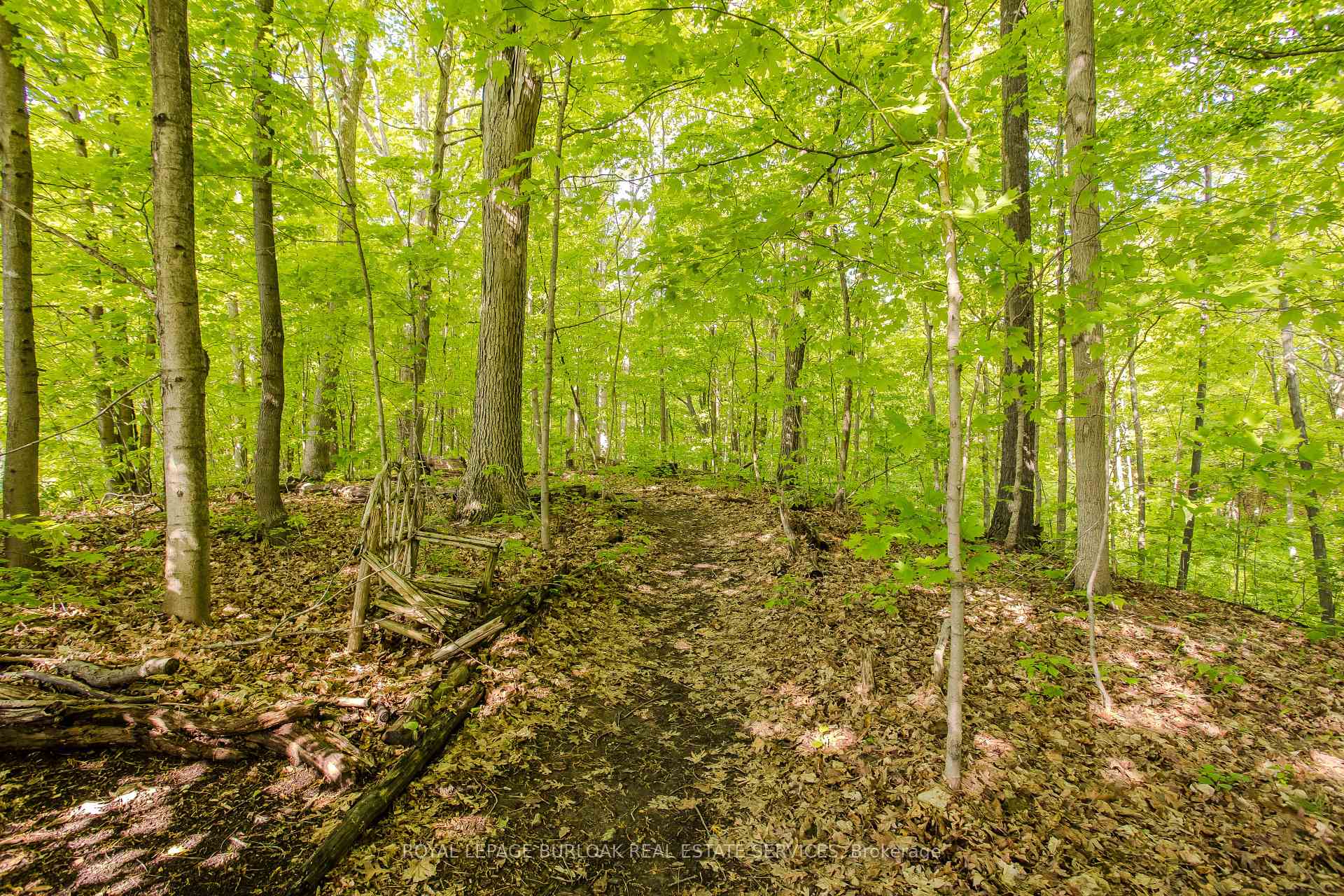 Photo 8 of 1148 Westhaven Drive, Burlington, Tyandaga — HOMEH