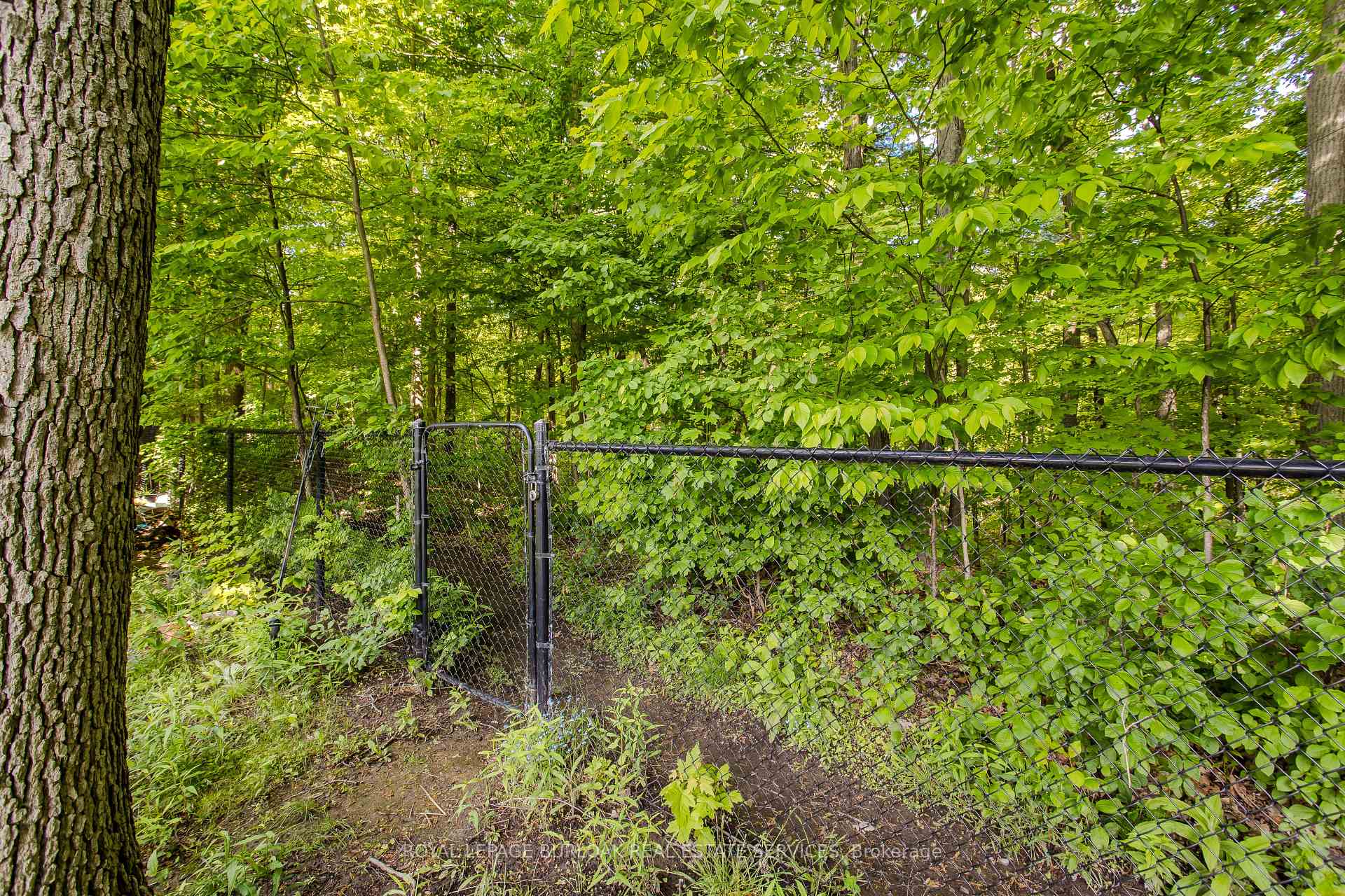 Photo 33 of 1148 Westhaven Drive, Burlington, Tyandaga — HOMEH