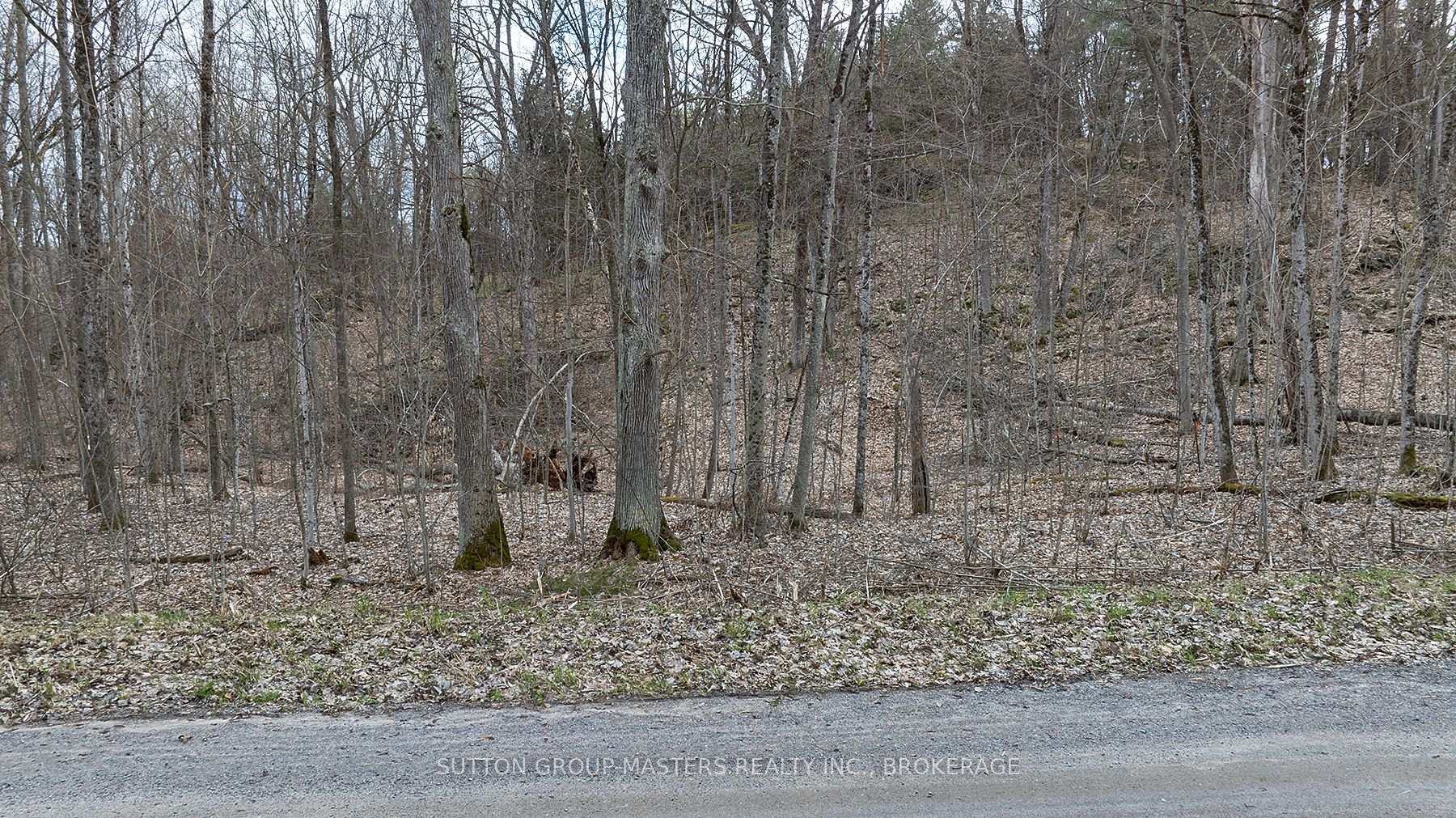Photo 4 of PT LT 5 James Wilson Road, Frontenac, Frontenac South — HOMEH