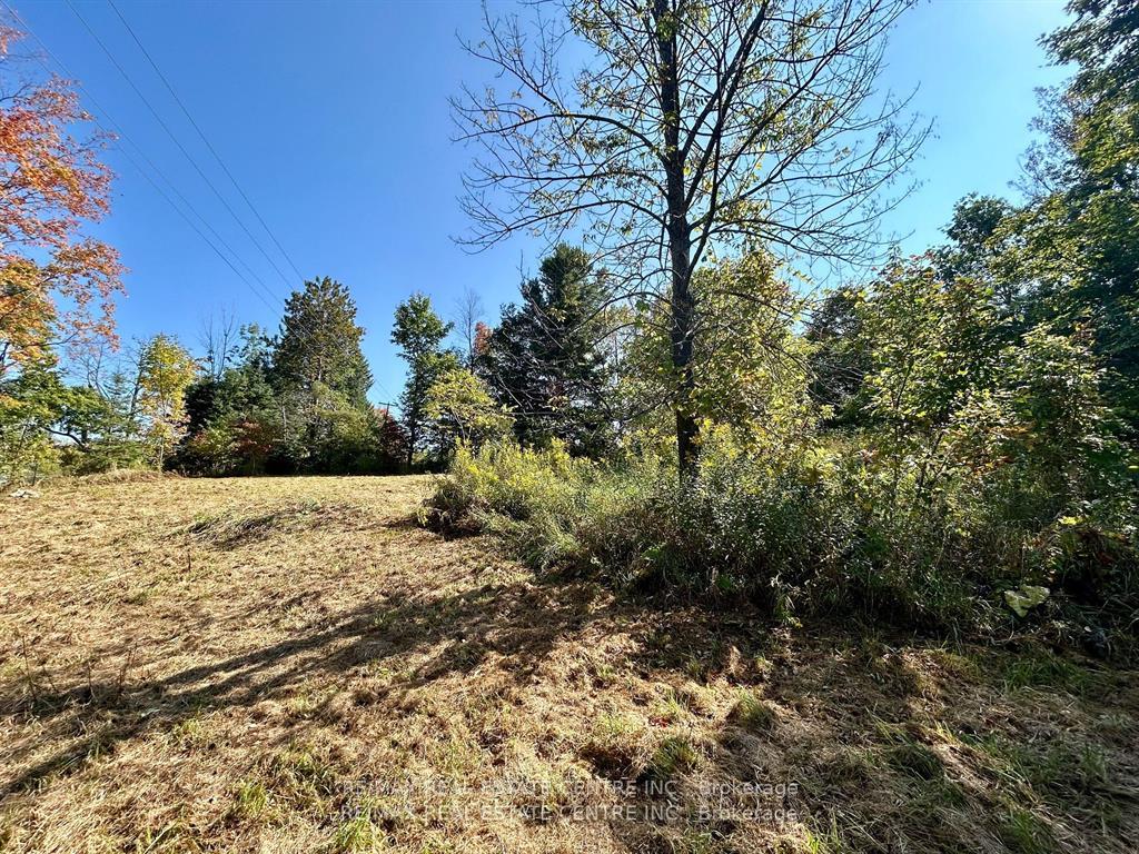 Photo 4 of 707066 County Rd 21, Mulmur, Rural Mulmur — HOMEH