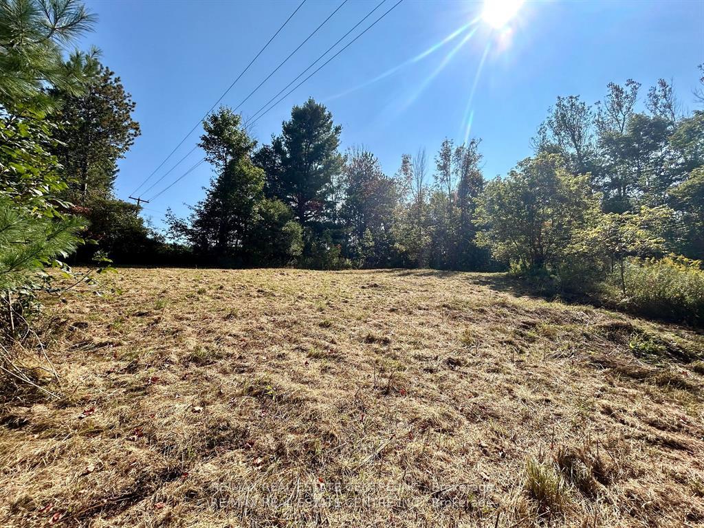 Photo 6 of 707066 County Rd 21, Mulmur, Rural Mulmur — HOMEH