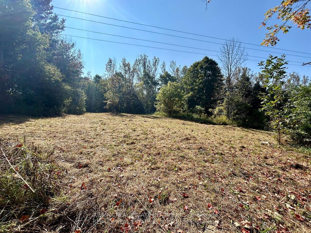 Photo 3 of 707066 County Rd 21, Mulmur, Rural Mulmur — HOMEH