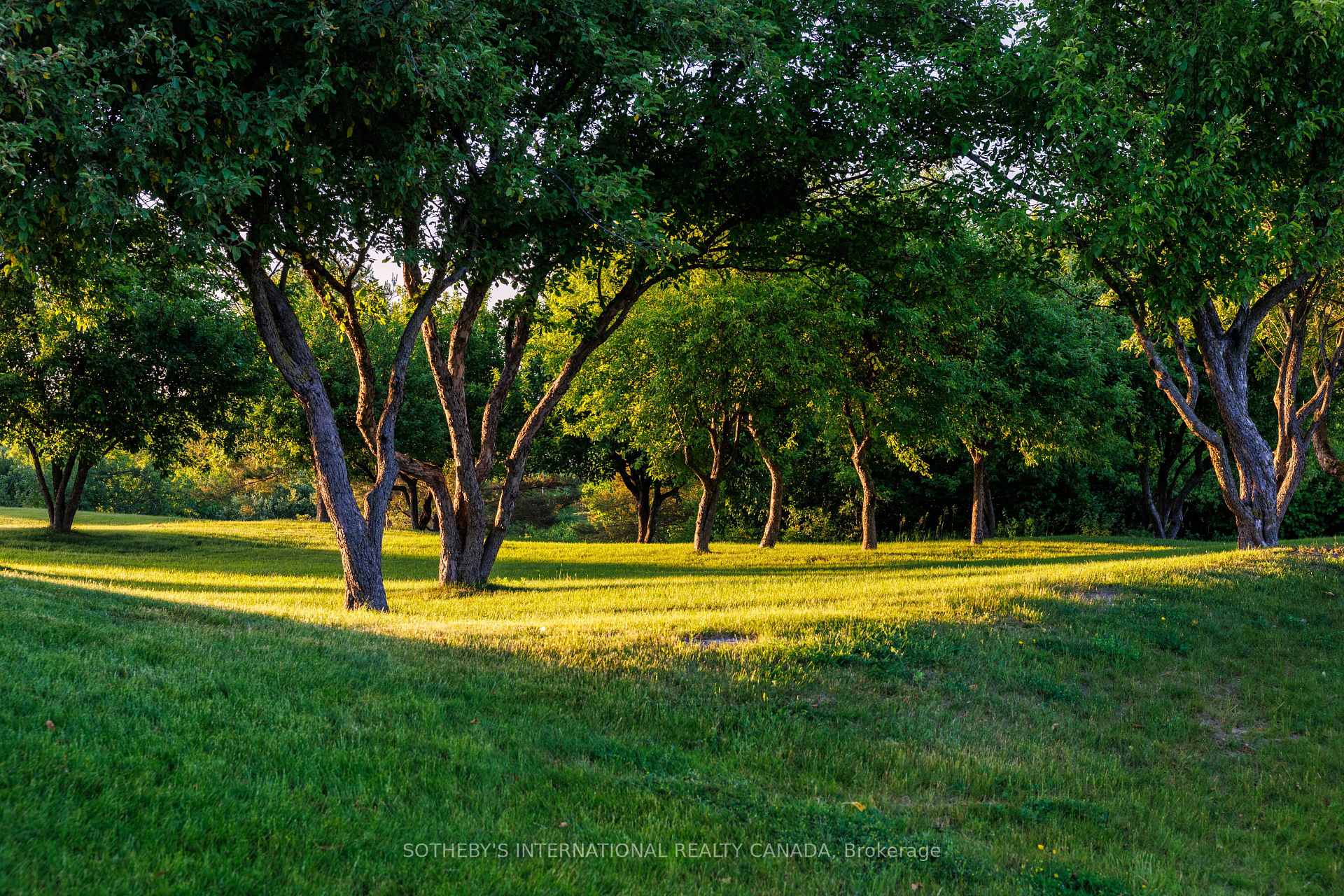 Photo 11 of 5765 Escarpment Side Road, Caledon, Rural Caledon — HOMEH