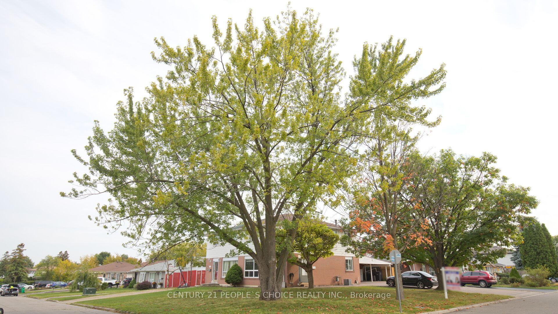 Photo 43 of 82 Davenport Crescent, Brampton, Southgate — HOMEH