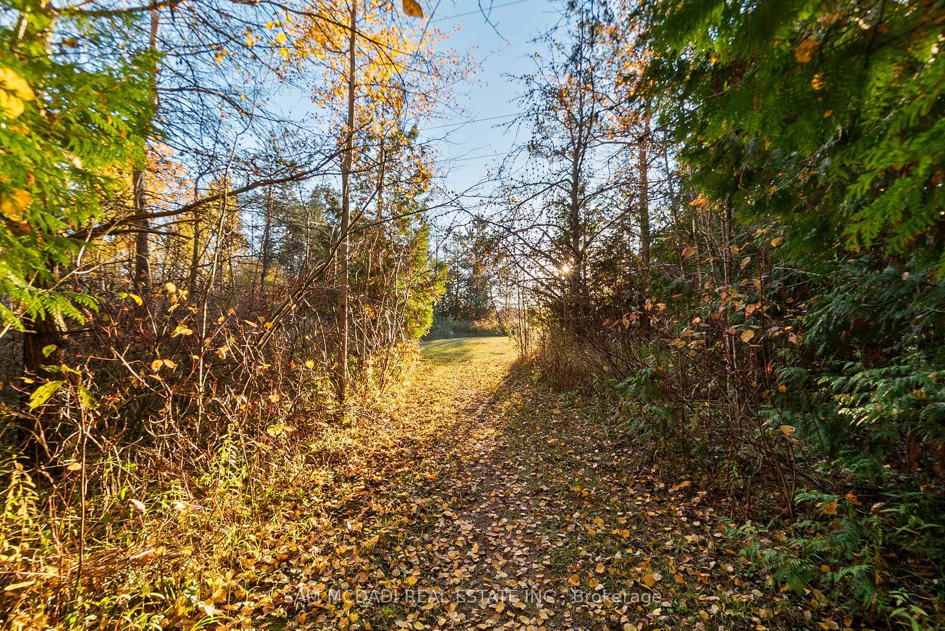 Photo 36 of 2993 Innisfil Beach Road, Innisfil, Rural Innisfil — HOMEH