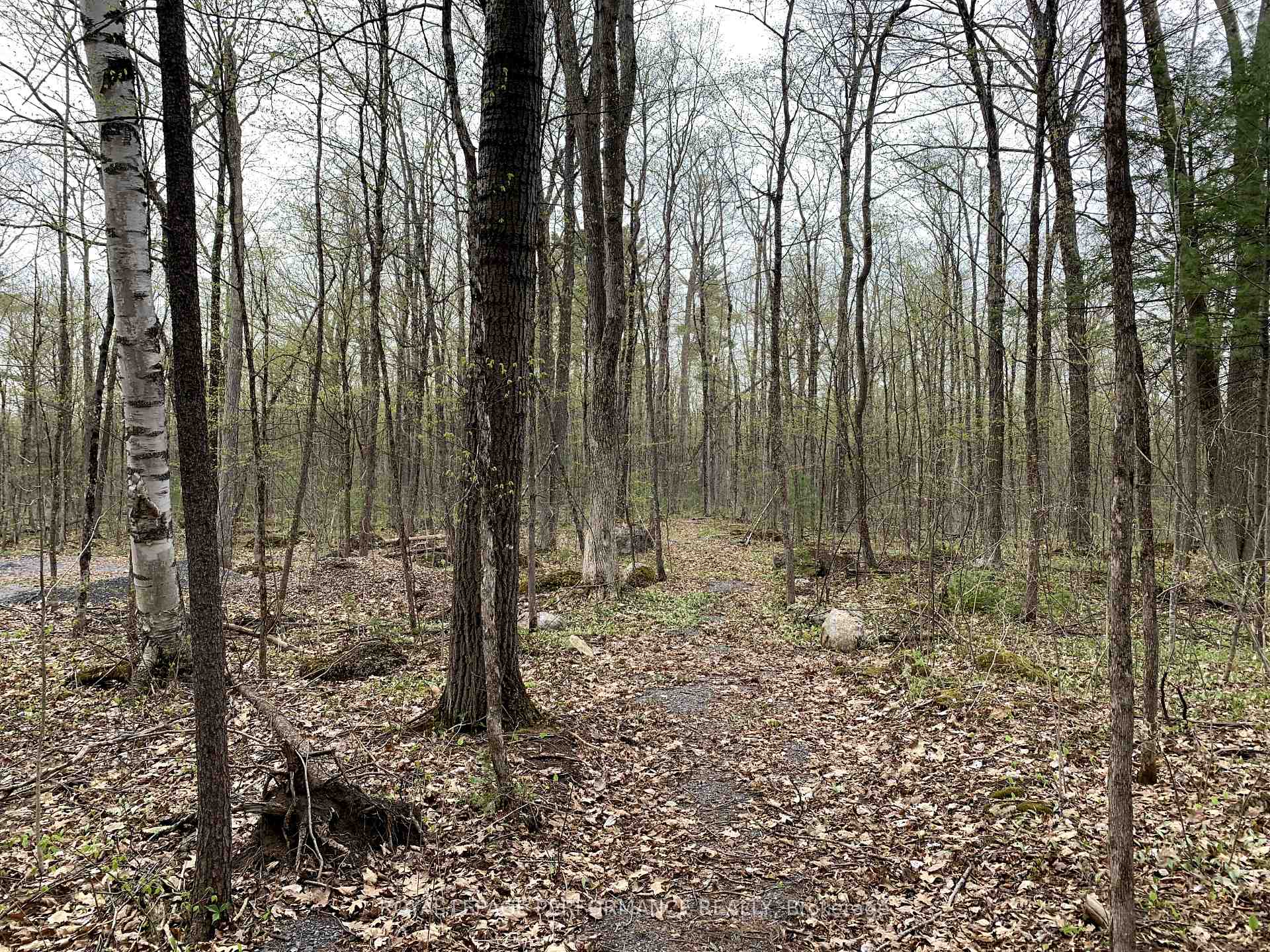 Photo 2 of 00 O'Toole Road, Ottawa, Cumberland West — HOMEH