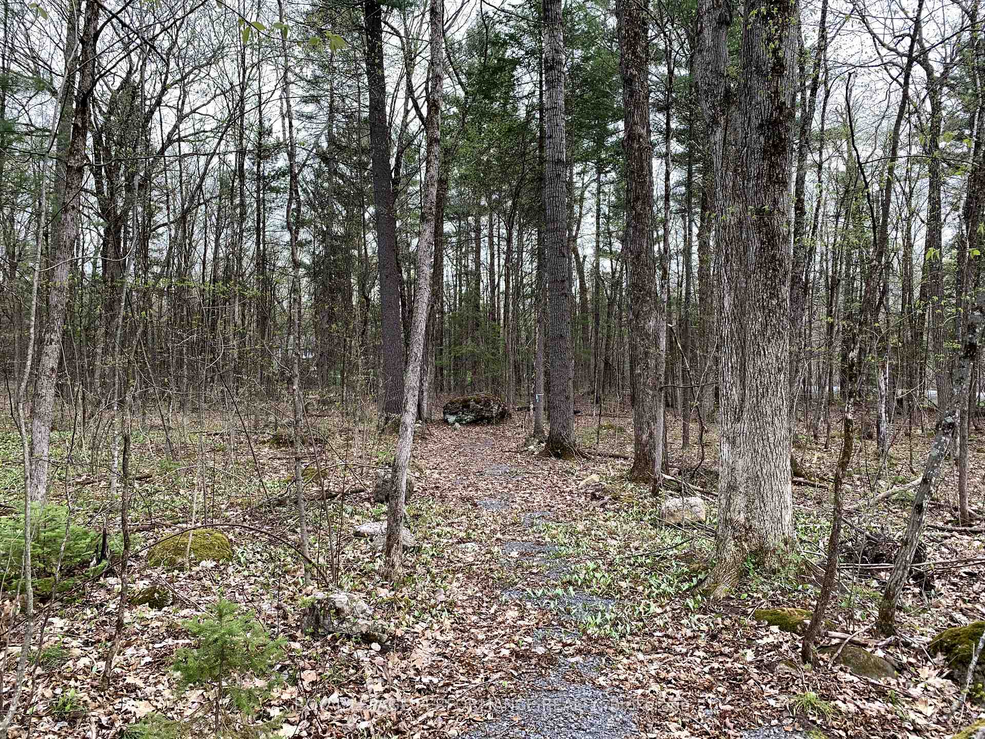 Photo 3 of 00 O'Toole Road, Ottawa, Cumberland West — HOMEH