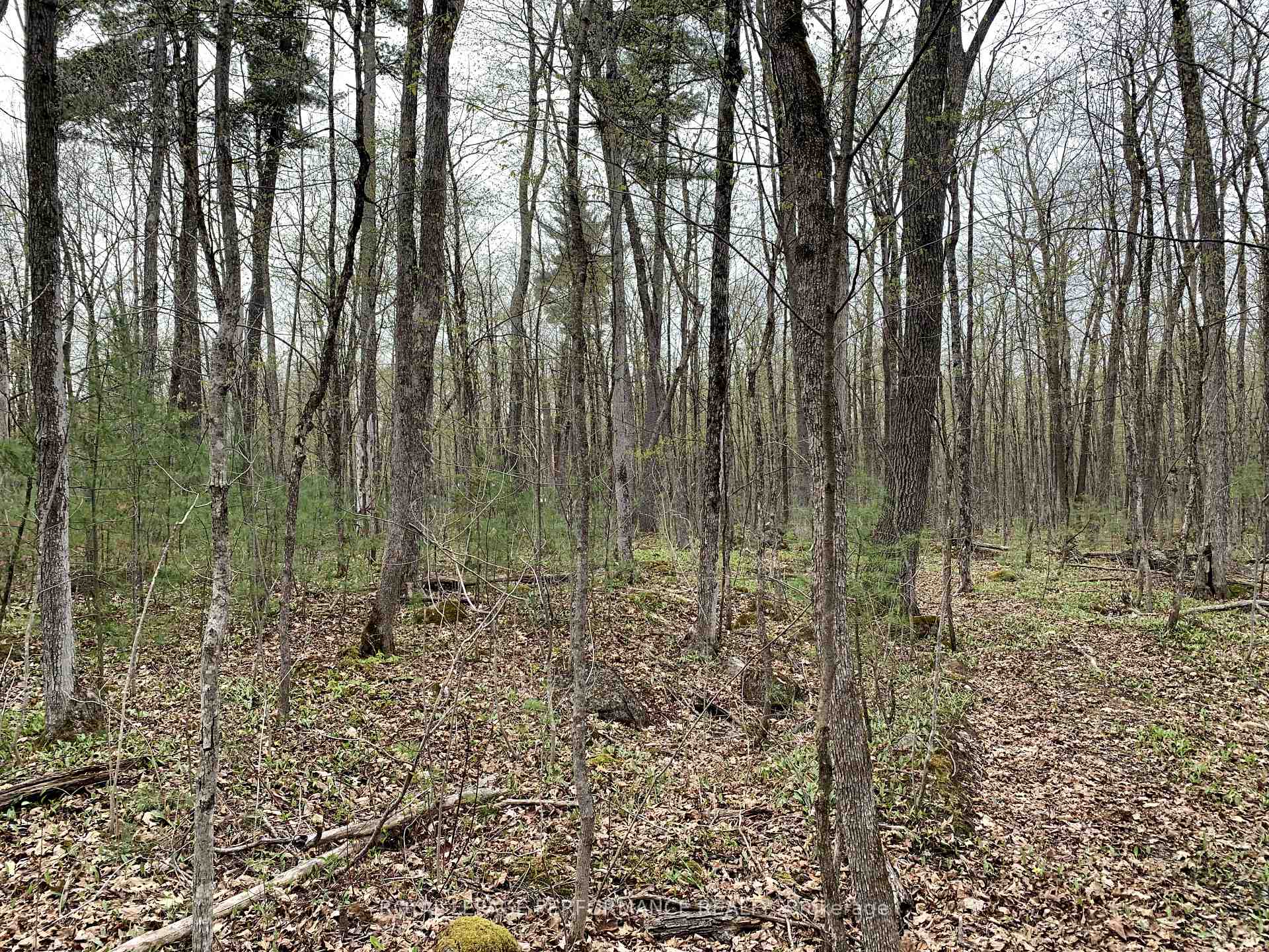 Photo 5 of 00 O'Toole Road, Ottawa, Cumberland West — HOMEH