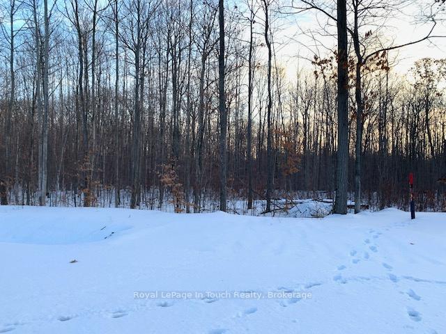 Photo 10 of Lot 59 Whispering Pine Circle, Tiny, Rural Tiny — HOMEH