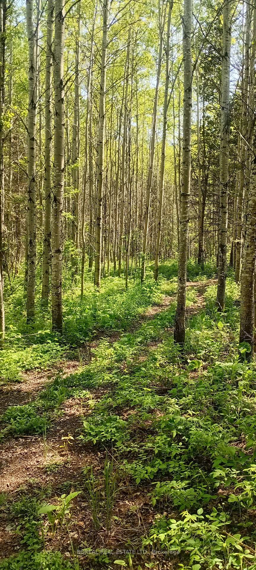 Photo 37 of 295-299 Bentley Lake Road, Cochrane — HOMEH
