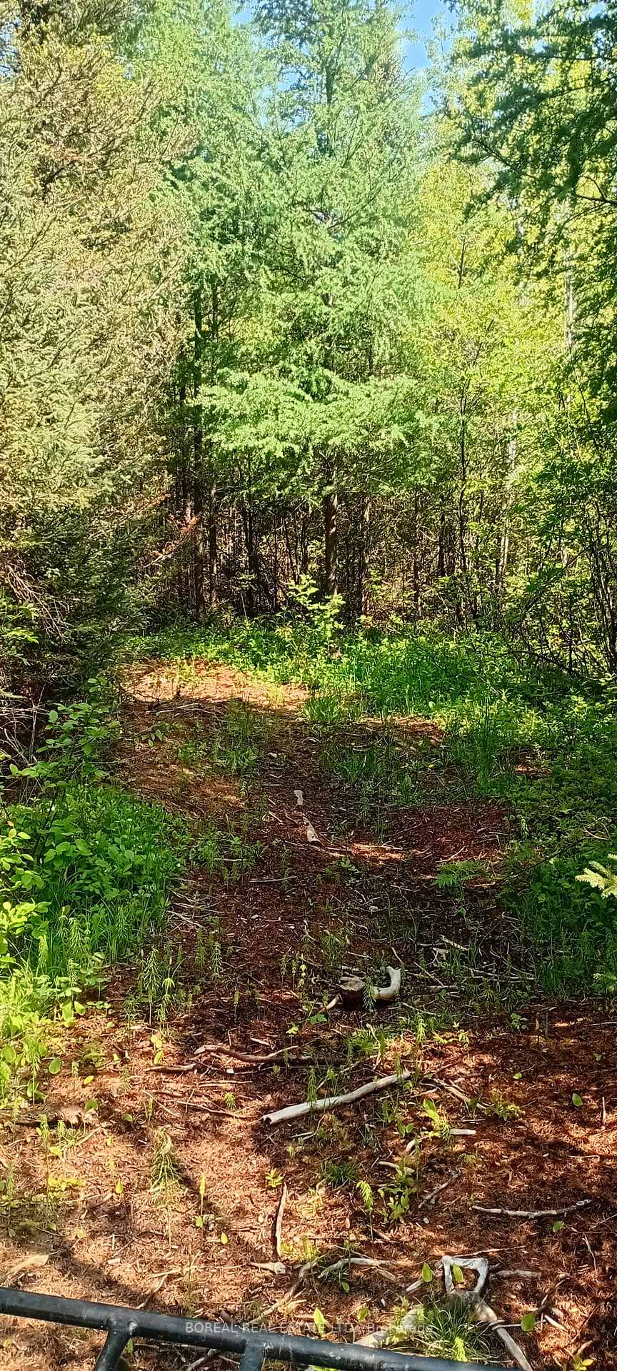 Photo 45 of 295-299 Bentley Lake Road, Cochrane — HOMEH