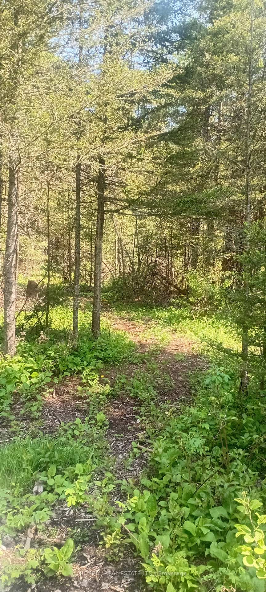 Photo 42 of 295-299 Bentley Lake Road, Cochrane — HOMEH