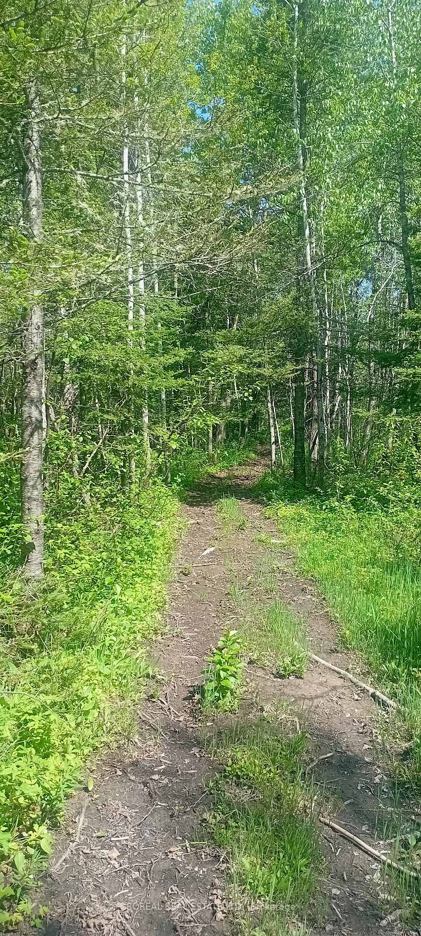 Photo 49 of 295-299 Bentley Lake Road, Cochrane — HOMEH