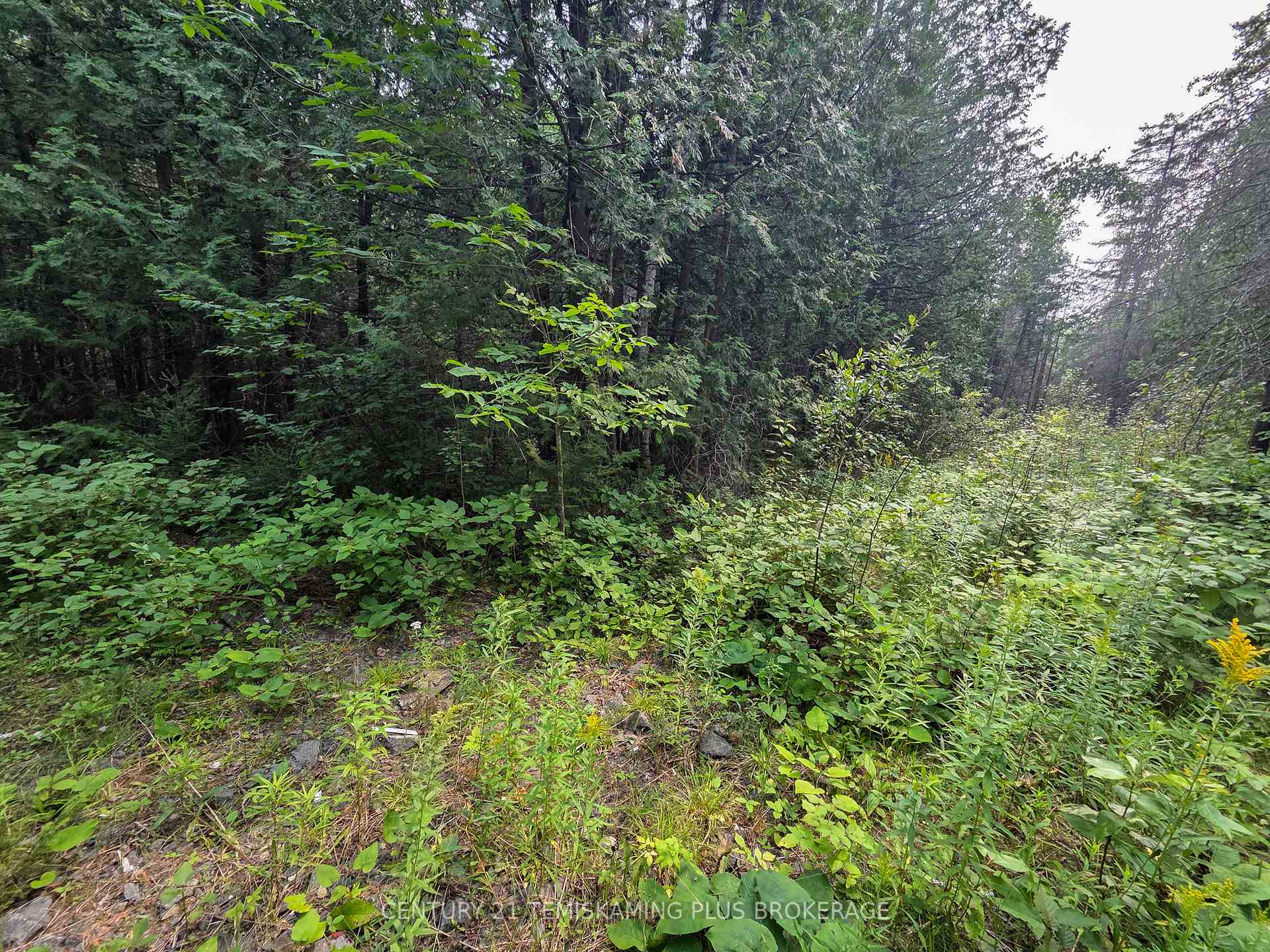 Photo 27 of 466500 Kerr Lake Road, Timiskaming, TIM - Outside - Rural — HOMEH
