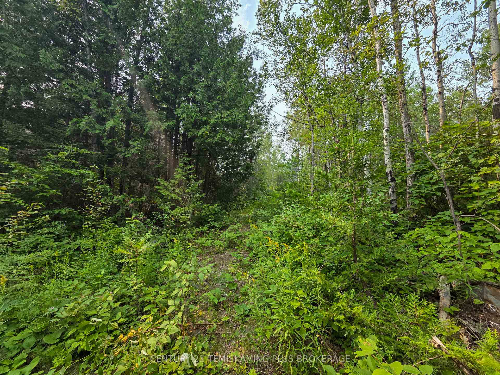 Photo 11 of 466500 Kerr Lake Road, Timiskaming, TIM - Outside - Rural — HOMEH