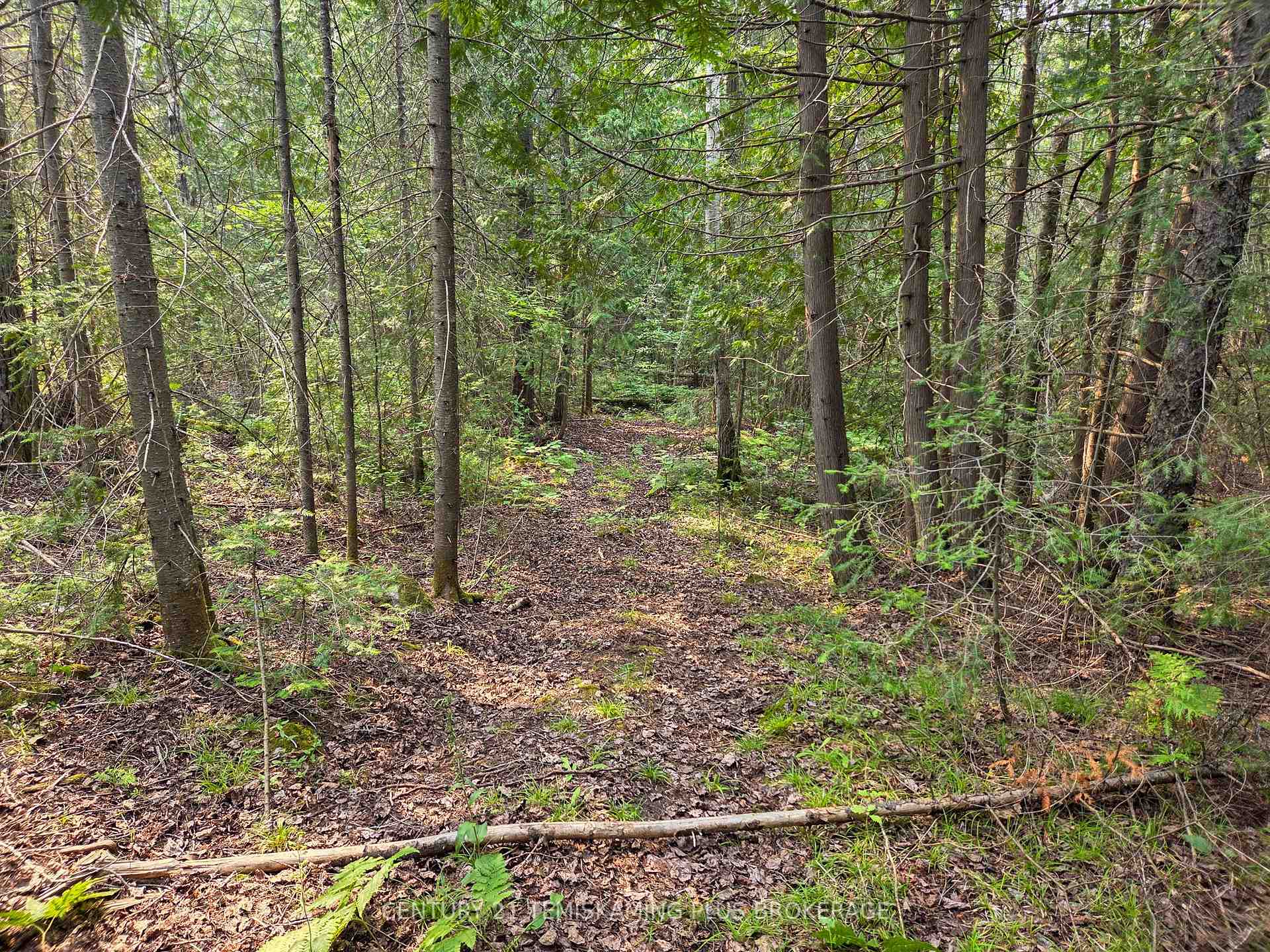 Photo 31 of 466500 Kerr Lake Road, Timiskaming, TIM - Outside - Rural — HOMEH