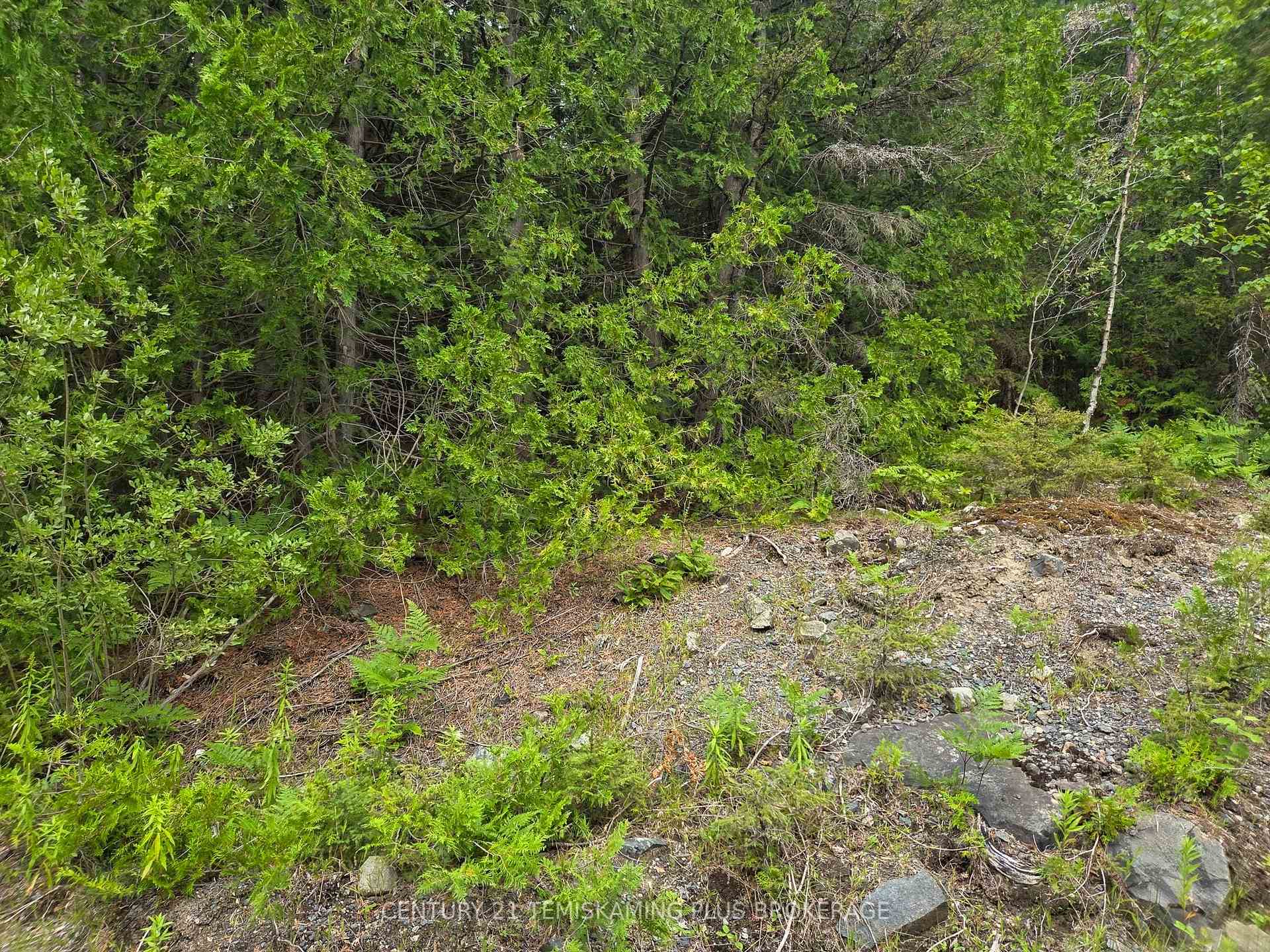 Photo 19 of 466500 Kerr Lake Road, Timiskaming, TIM - Outside - Rural — HOMEH