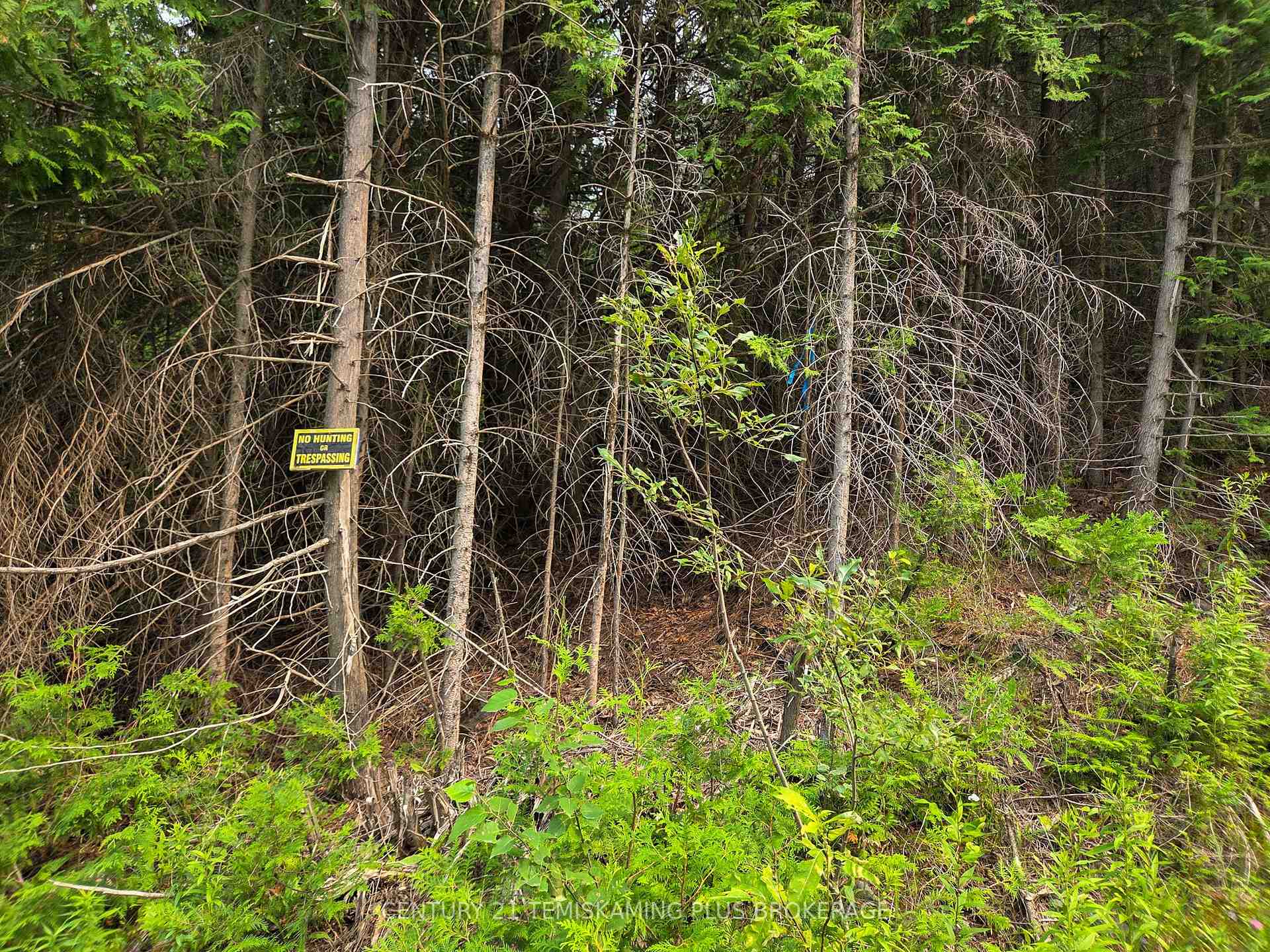 Photo 10 of 466500 Kerr Lake Road, Timiskaming, TIM - Outside - Rural — HOMEH