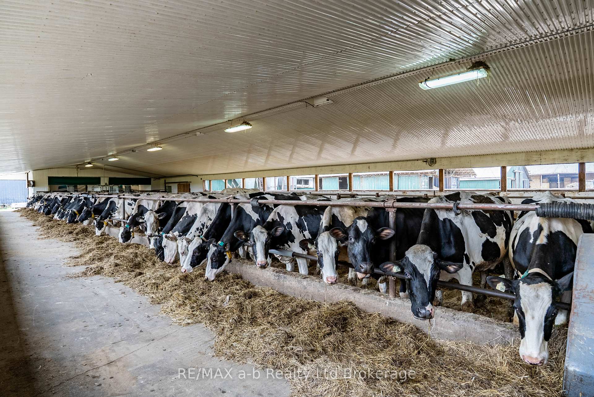 Photo 9 of 407197 Road 2, Englehart, Central Timiskaming — HOMEH