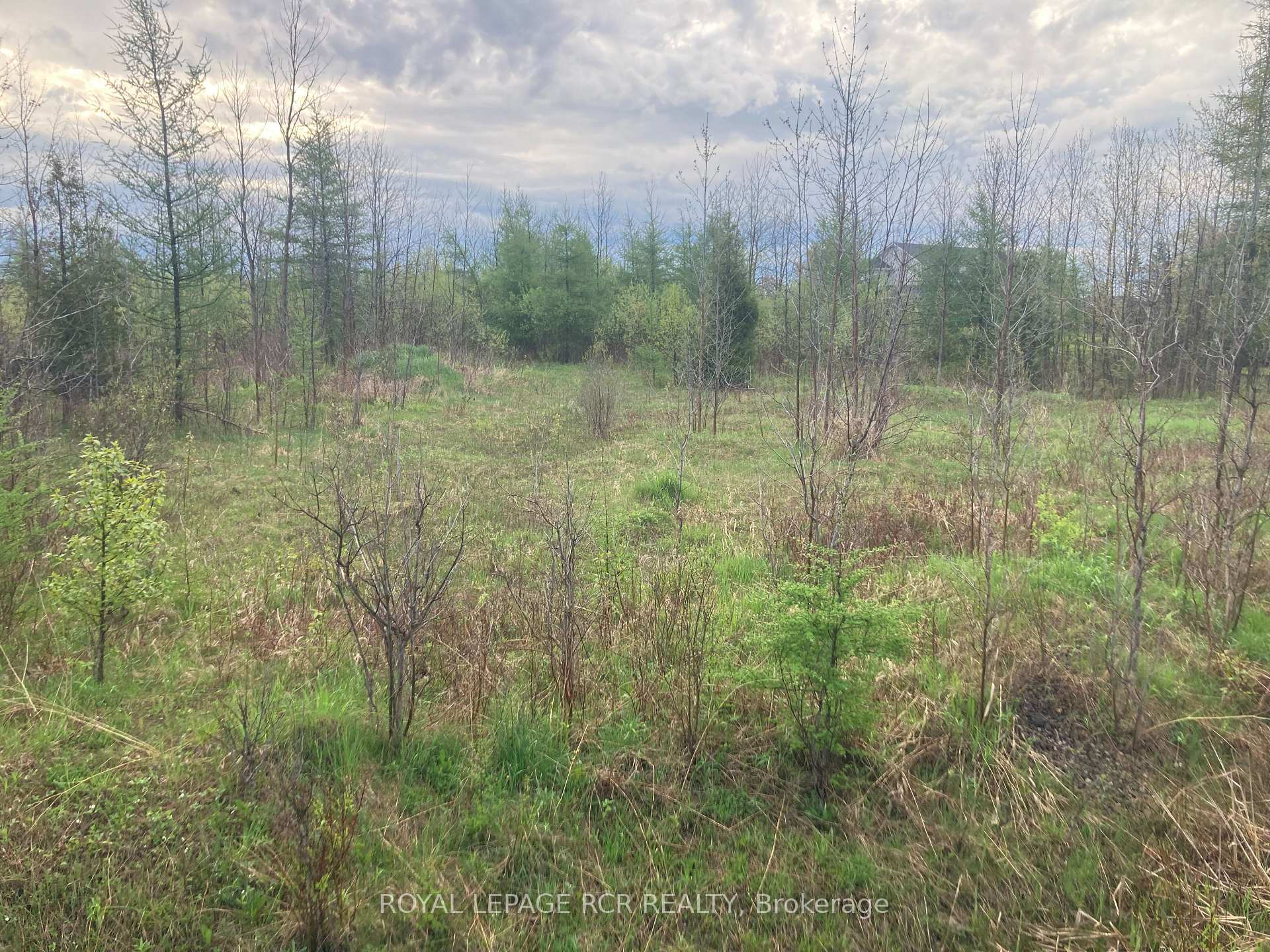 Photo 12 of PtLot 8 Con 2, Amaranth, Rural Amaranth — HOMEH