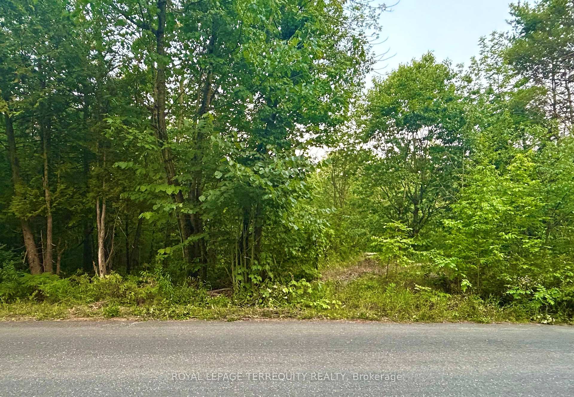 Photo 9 of 00 Buckslide Rd, Algonquin Highlands, Stanhope — HOMEH