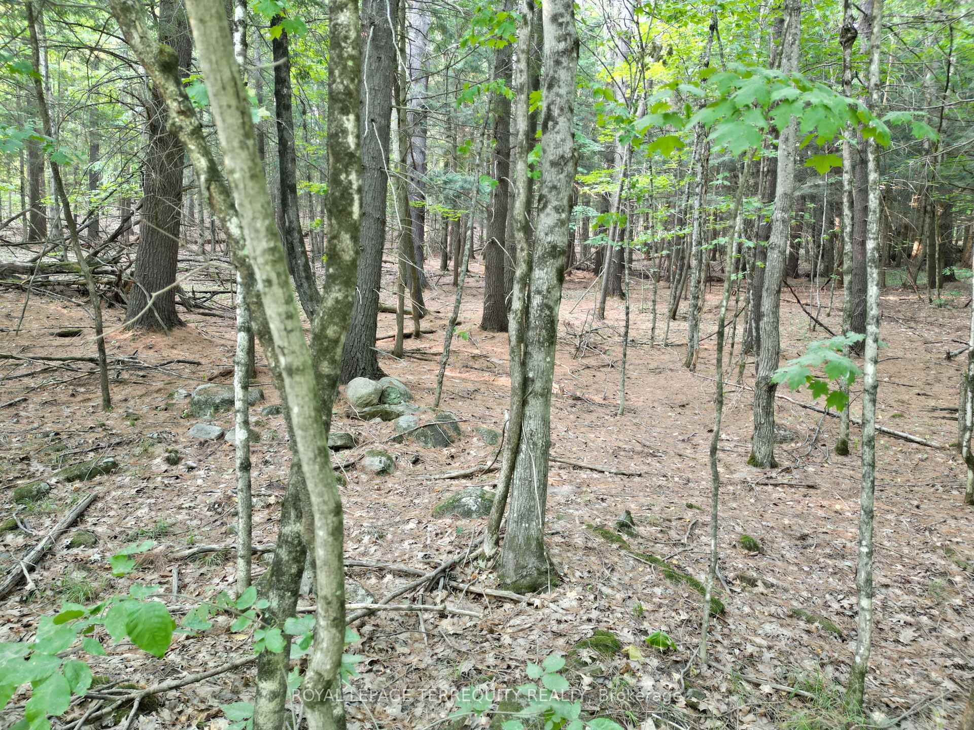 Photo 4 of 00 Buckslide Rd, Algonquin Highlands, Stanhope — HOMEH