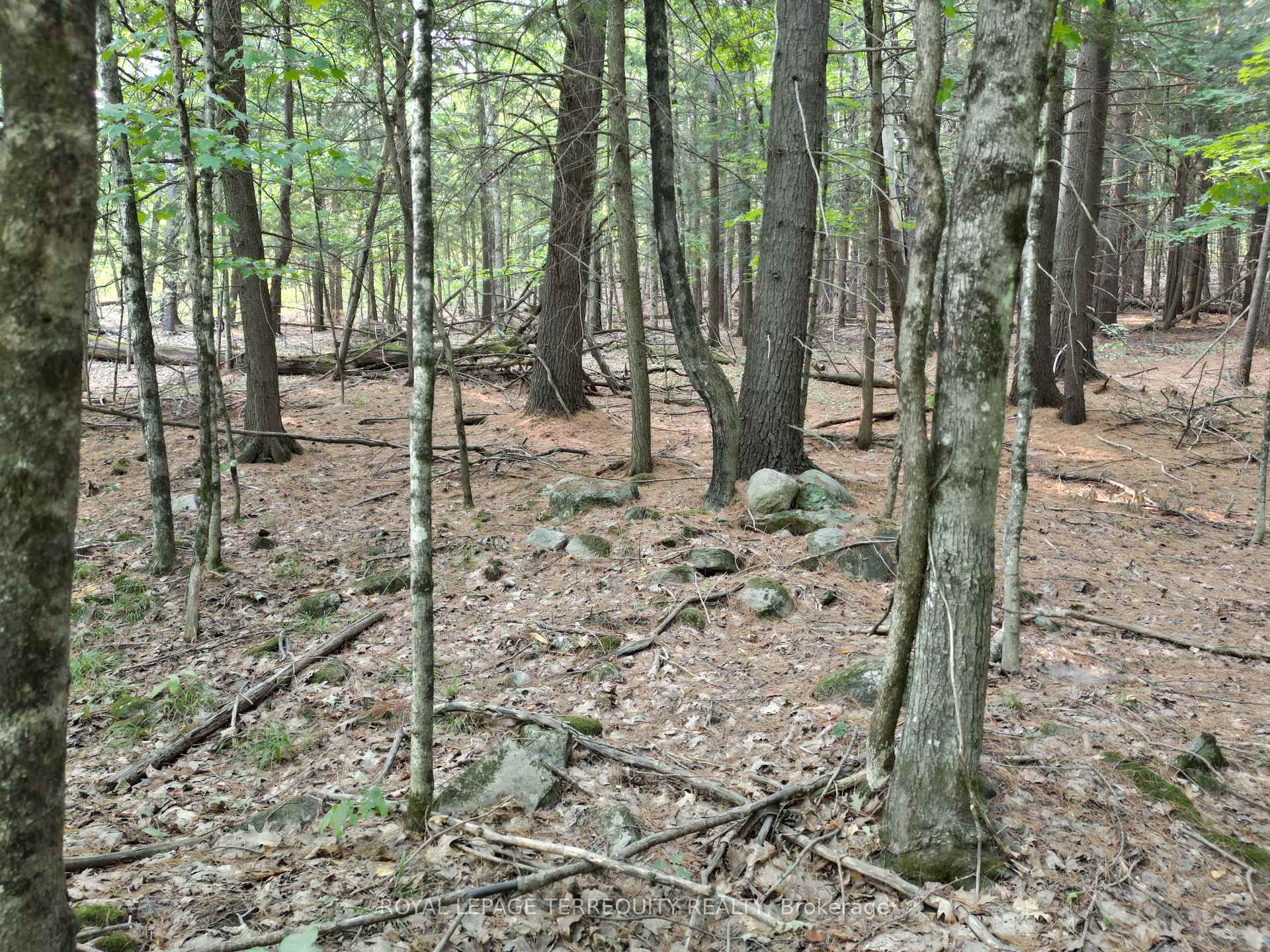 Photo 11 of 00 Buckslide Rd, Algonquin Highlands, Stanhope — HOMEH